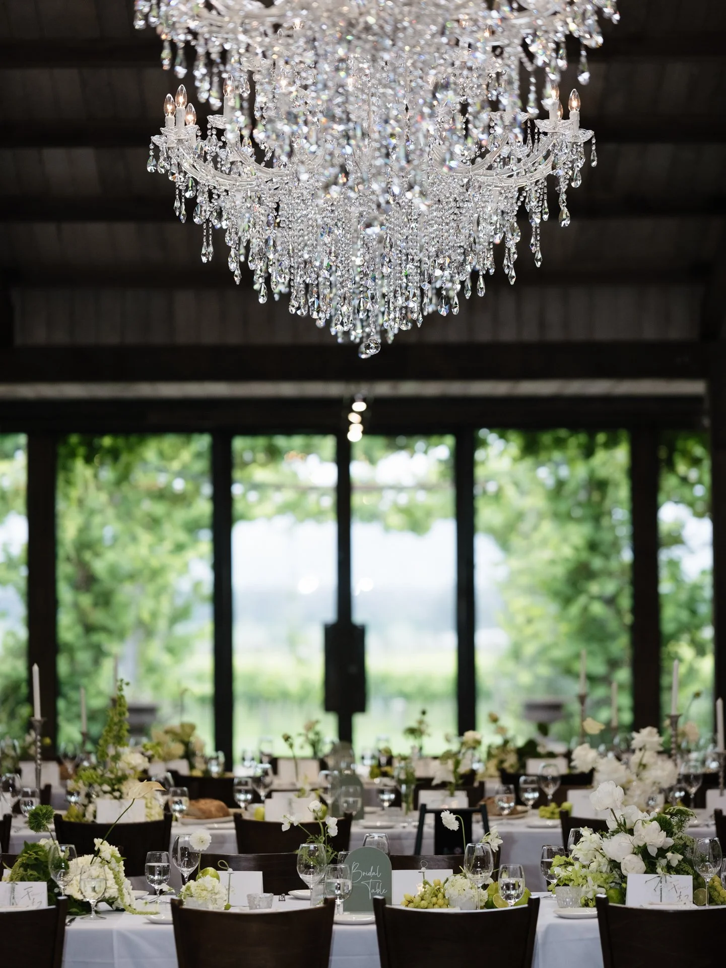 Richard + Cathy-1550.JPG