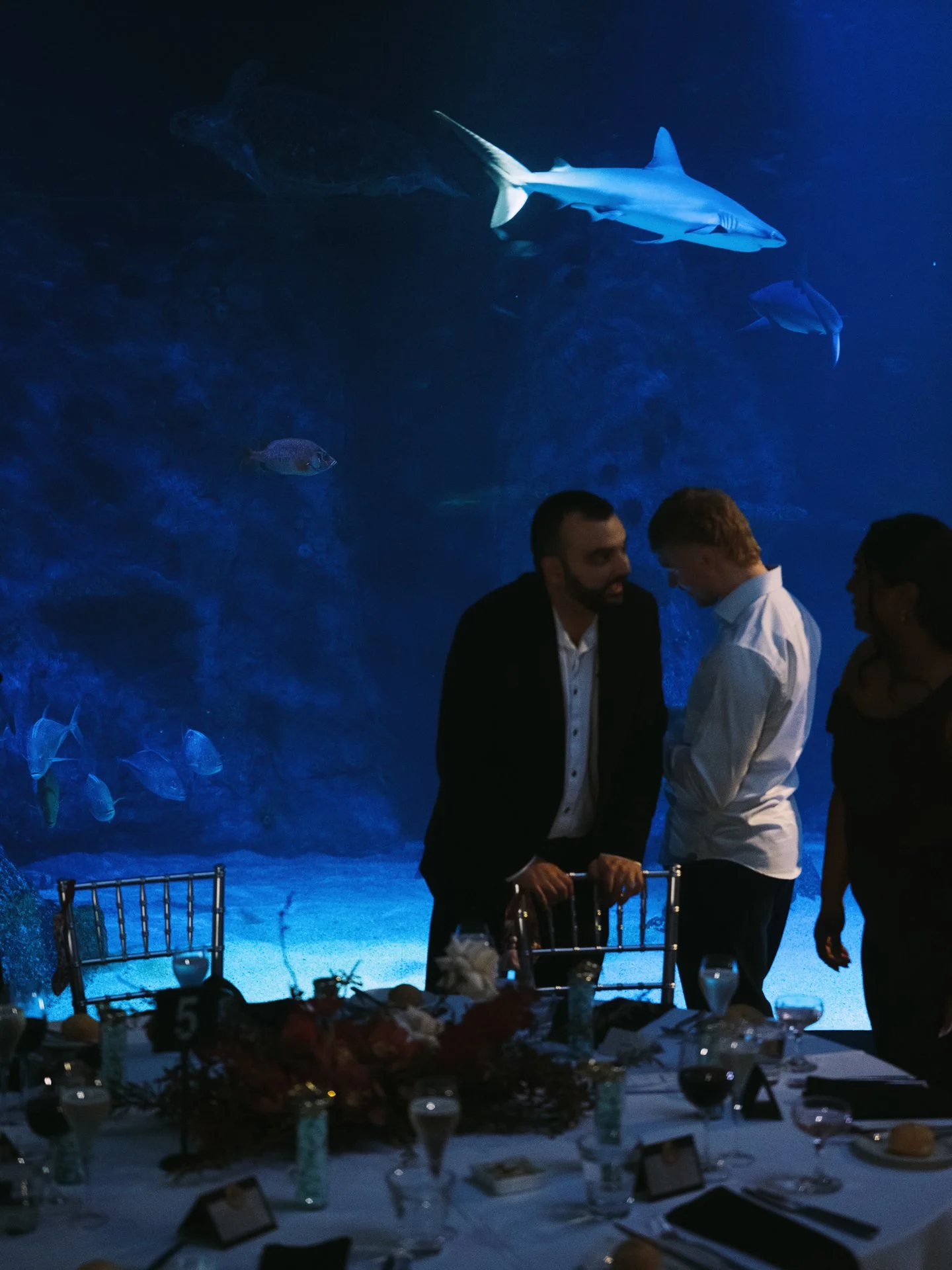 Steven + Katherine-748.JPG