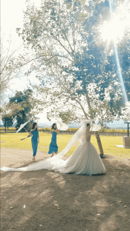 Untitled design (4).gif