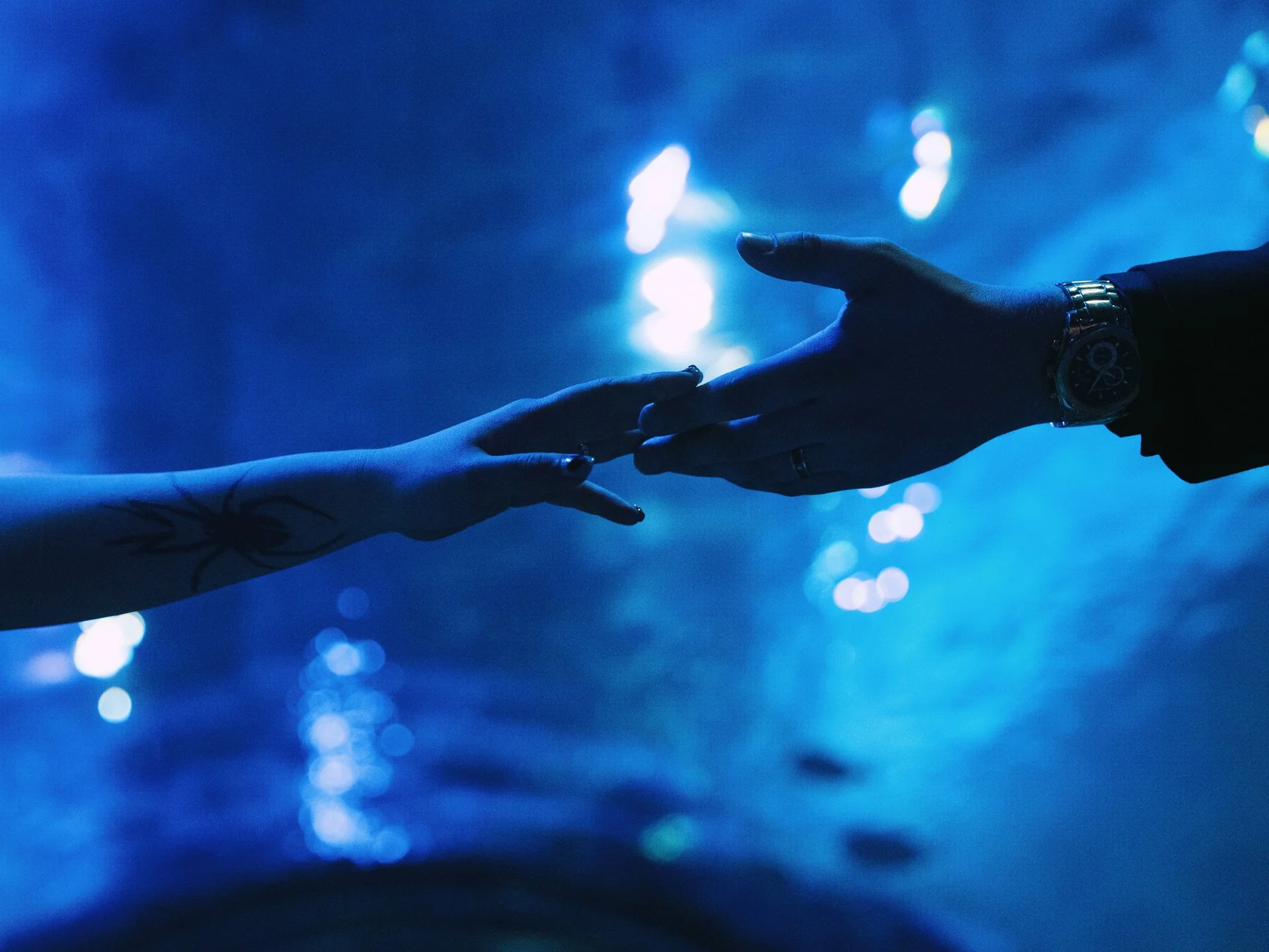 Steven + Katherine-1254.JPG