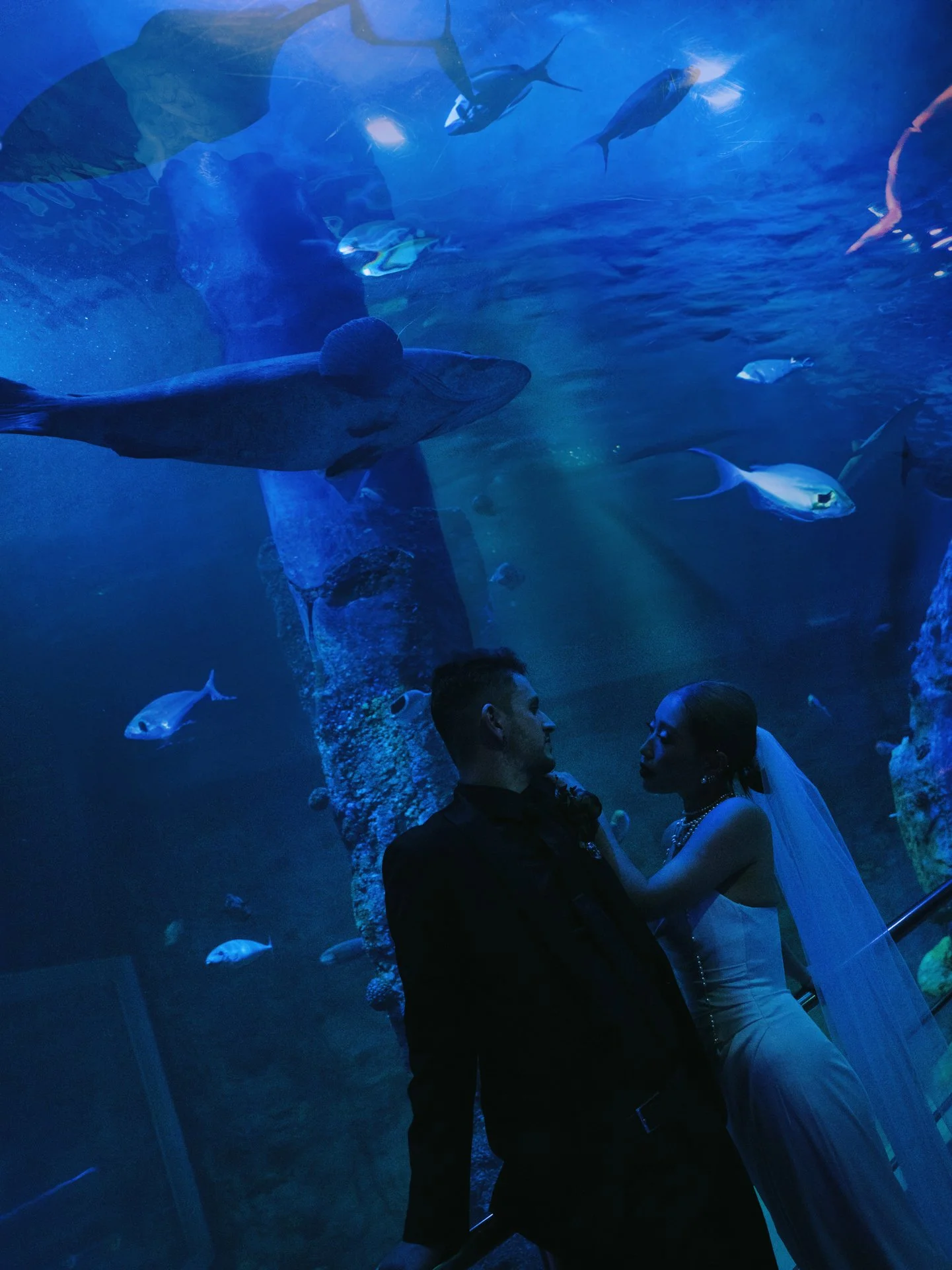 Steven + Katherine-1231-1.jpg