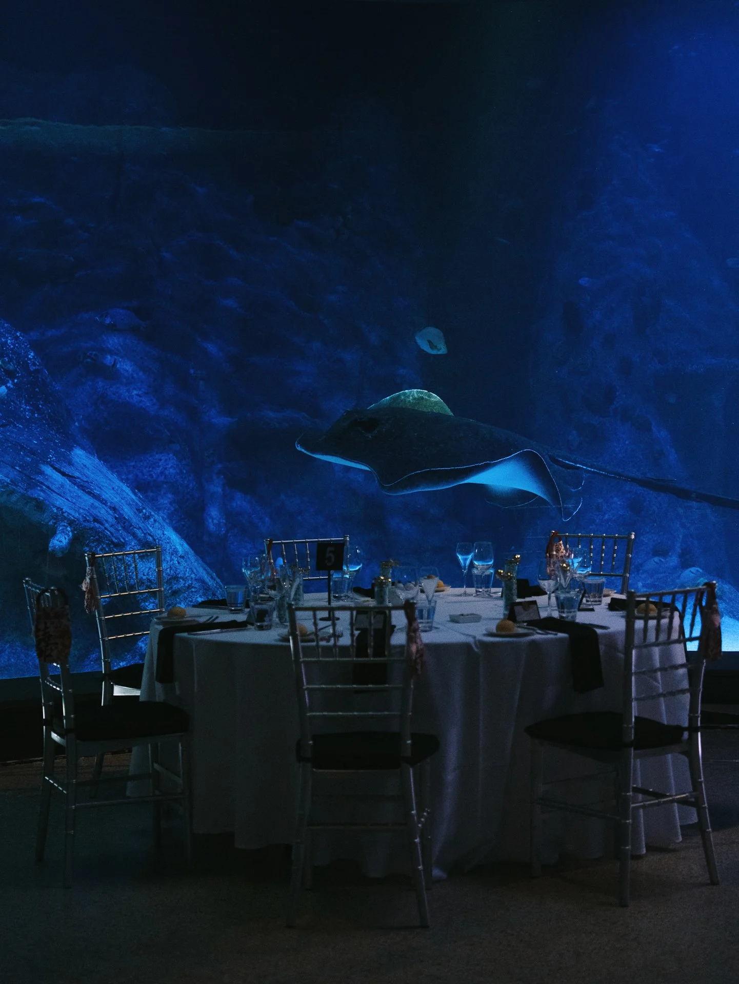 Steven + Katherine-1044.JPG