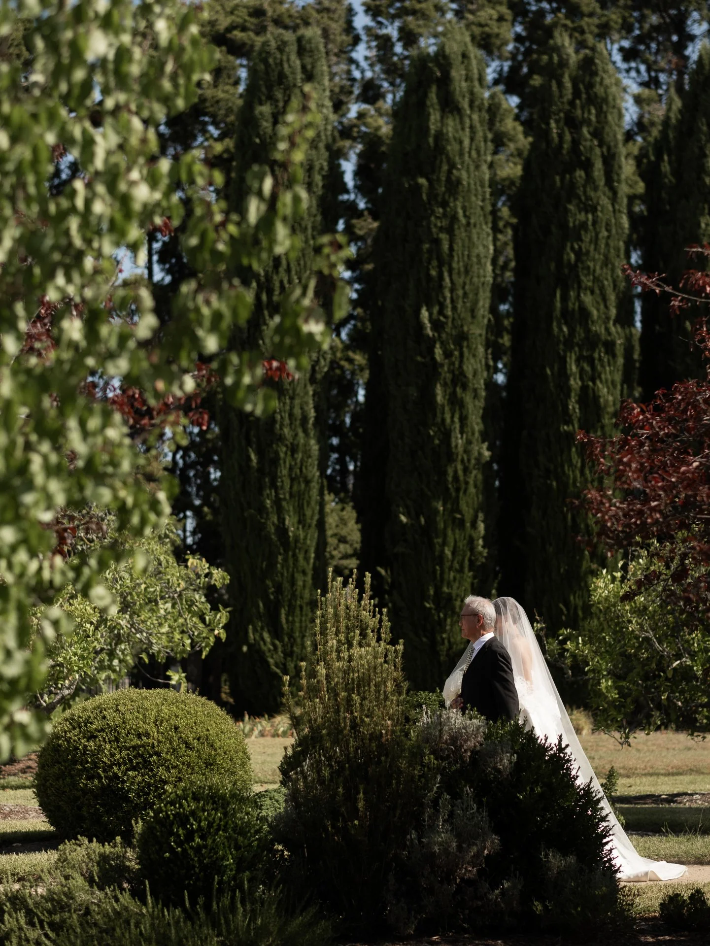 RH1C0357.JPG