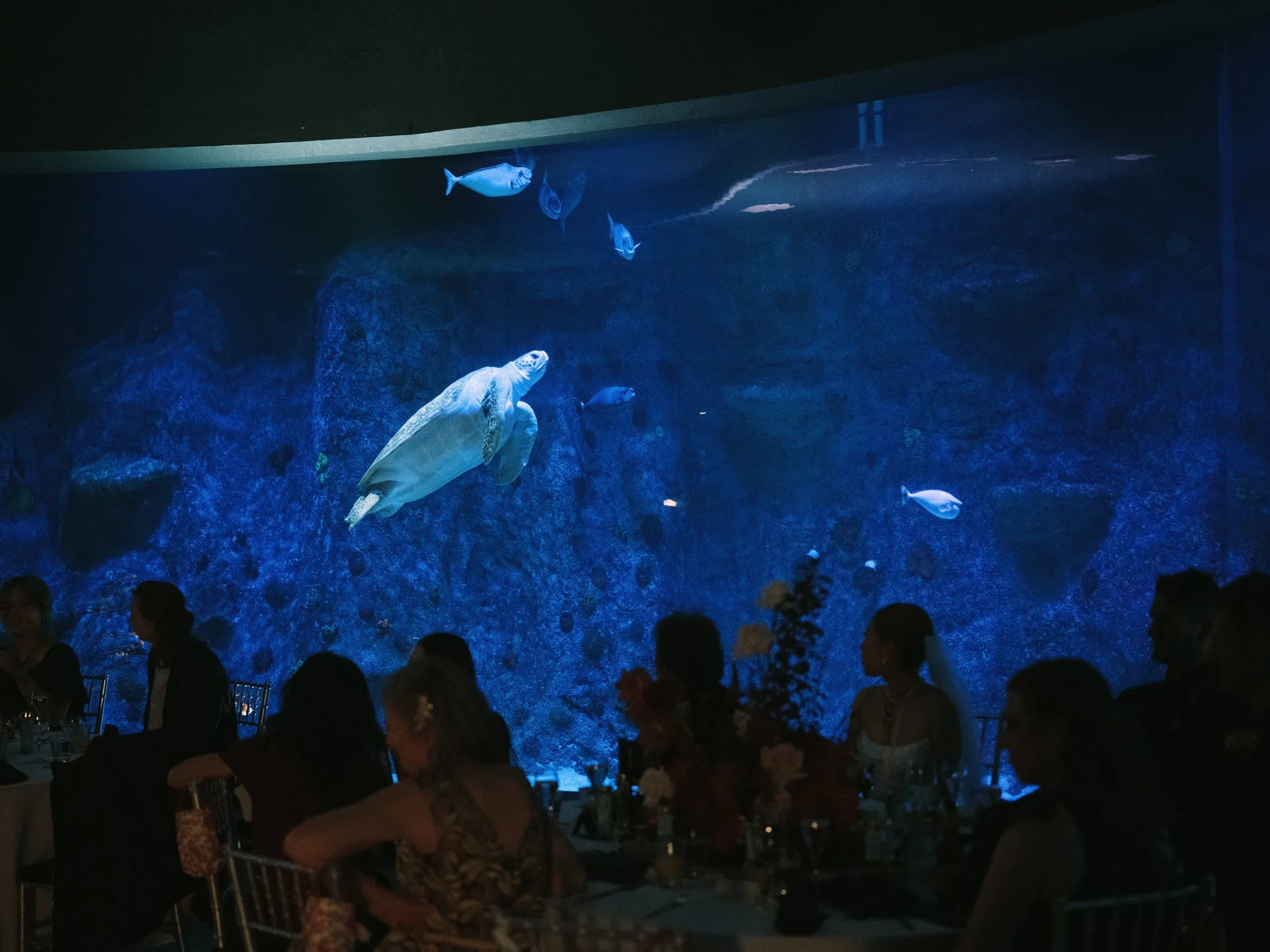 Steven + Katherine-1257.JPG