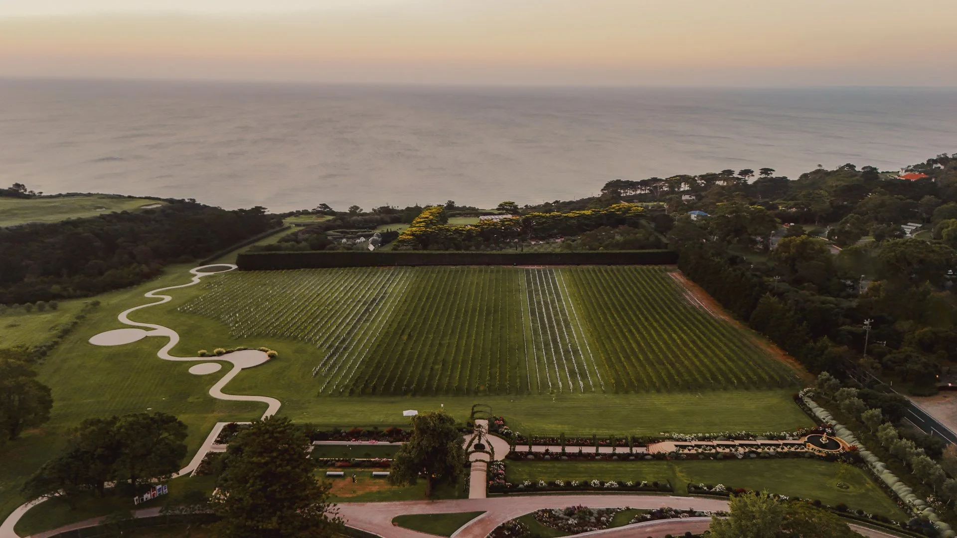 DJI_20260321192733_0056_D.JPG