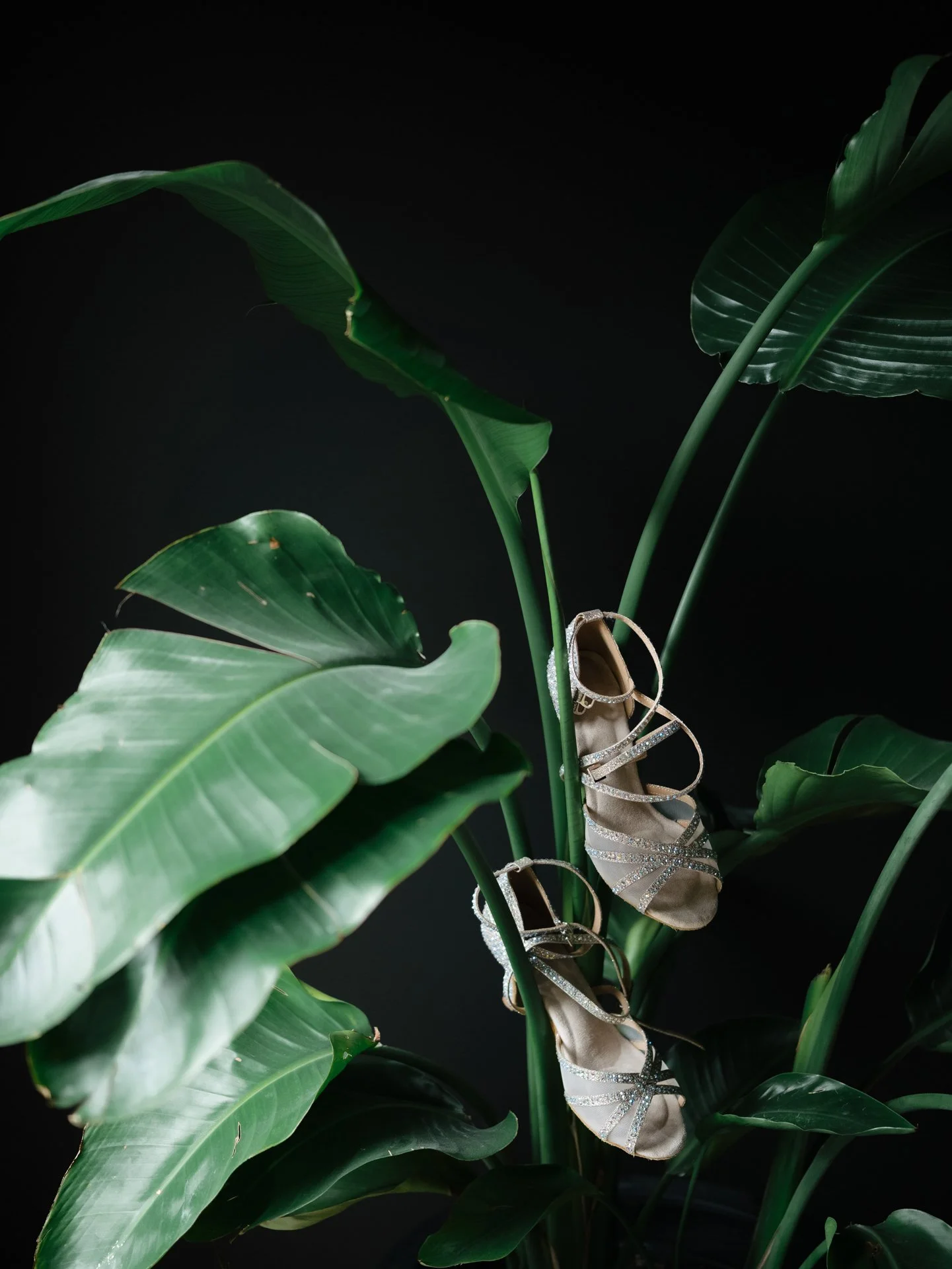 Richard + Cathy-9.JPG