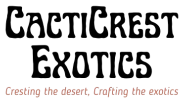 CactiCrest Exotics
