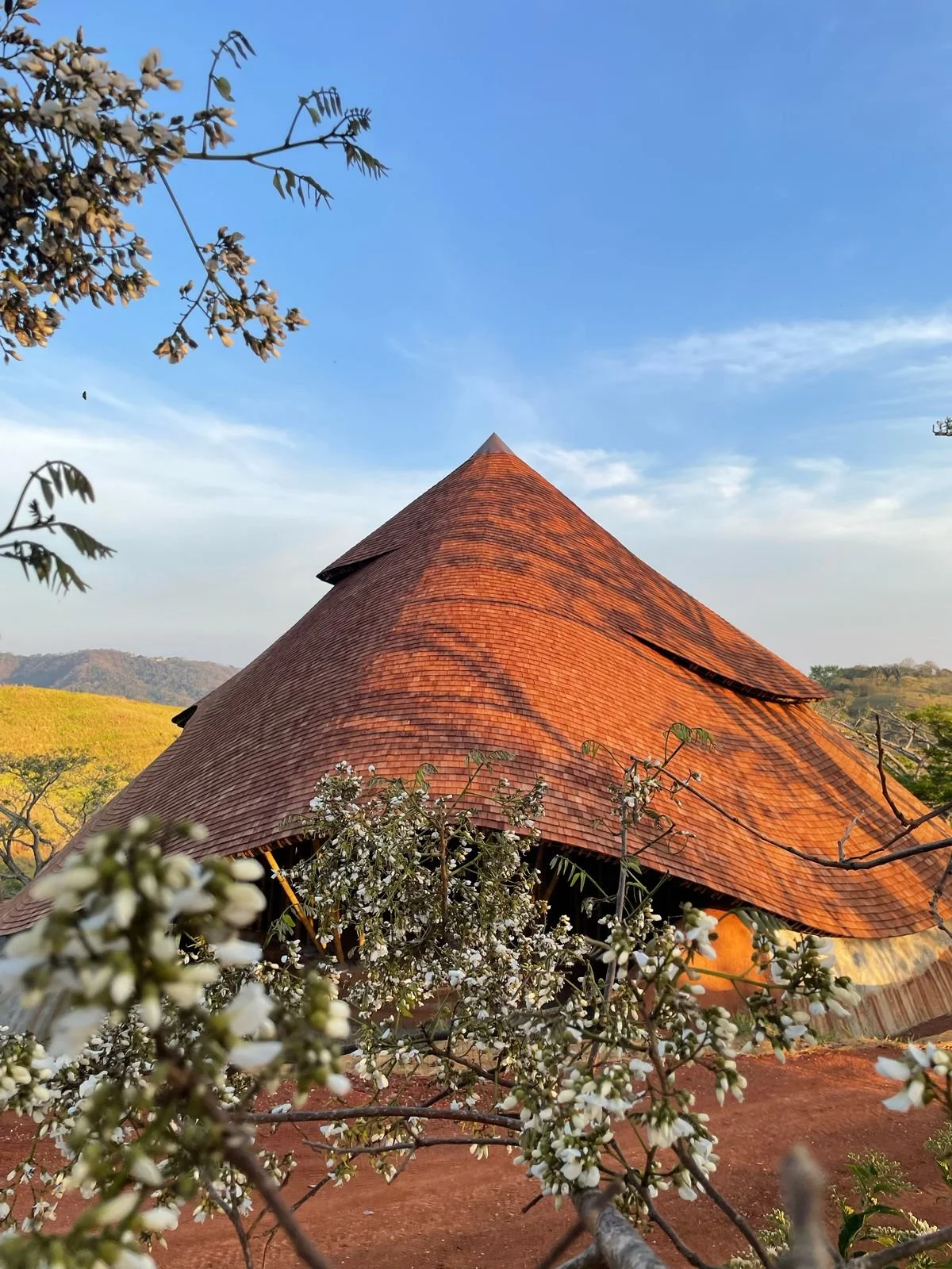 8cb54144-a8bb-4d61-a32a-1371be62c814 3.JPG