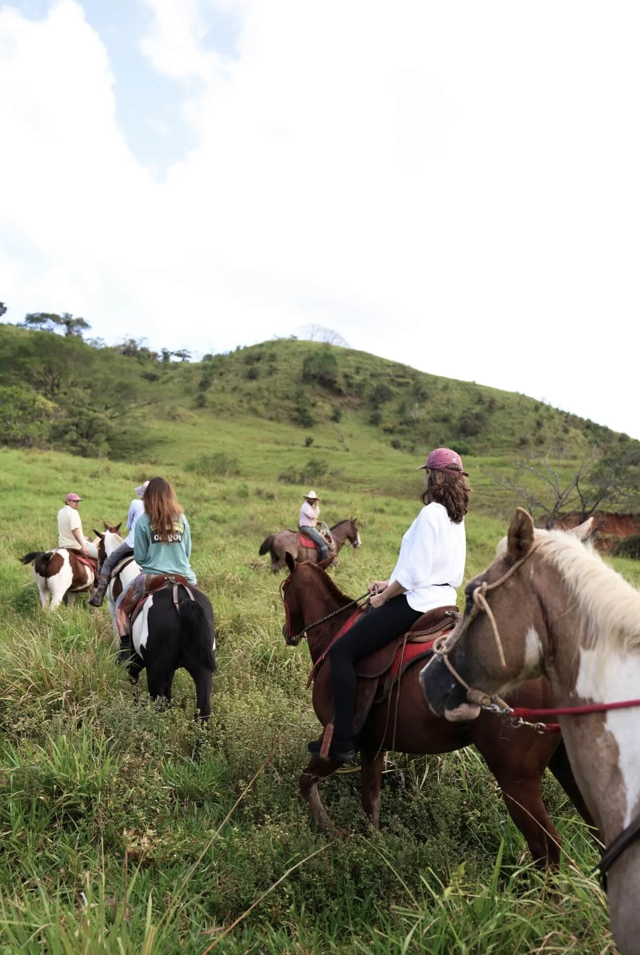 Tierramor-Costa-Rica-Retreat-Center-Regenerative-Research-Living-About-Rio Montana-Guancaste-Costa Rica.jpg