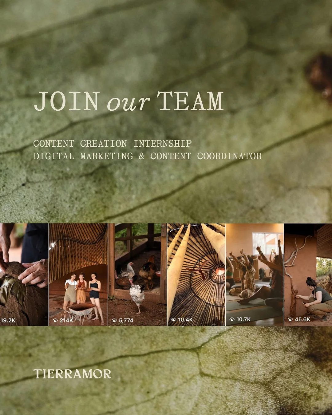 POSITION FILLED! We&rsquo;re expanding our creative and marketing team 🌿(ESPA&Ntilde;OL ABAJO) Tierramor is looking for two individuals to join us in curating content, supporting digital campaigns and building and nurturing our audiences.

✨ Content