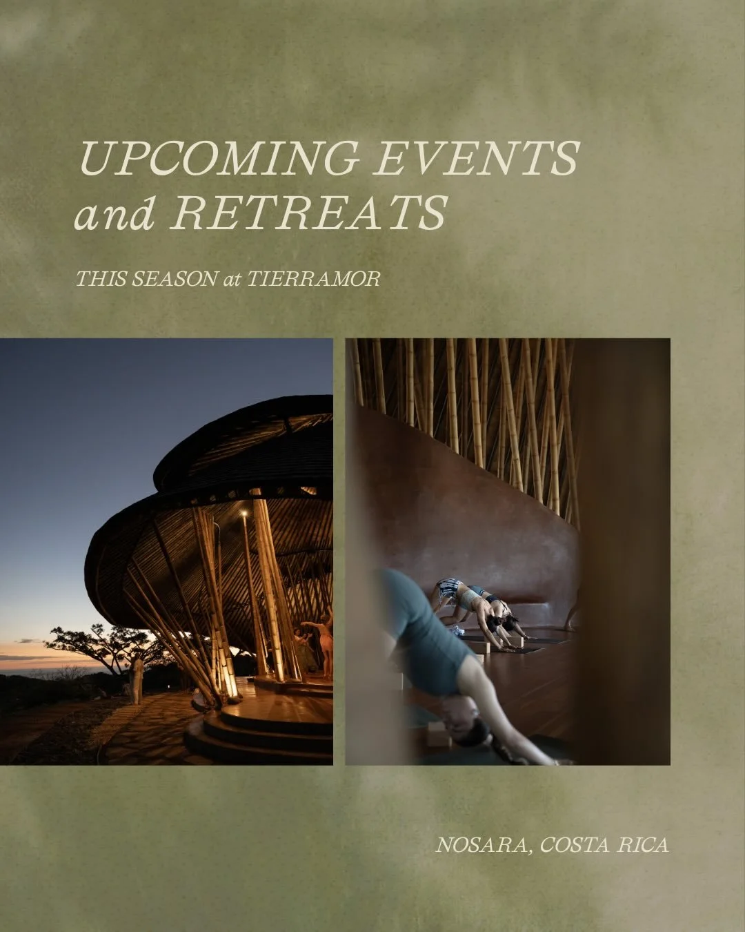 (ESPA&Ntilde;OL ABAJO) Over the coming weeks, Tierramor becomes home to journeys of movement, awakening, relational practice, and facilitator development held by the stewards, leaders, practitioners and visionaries who make this field possible. 🪴

C