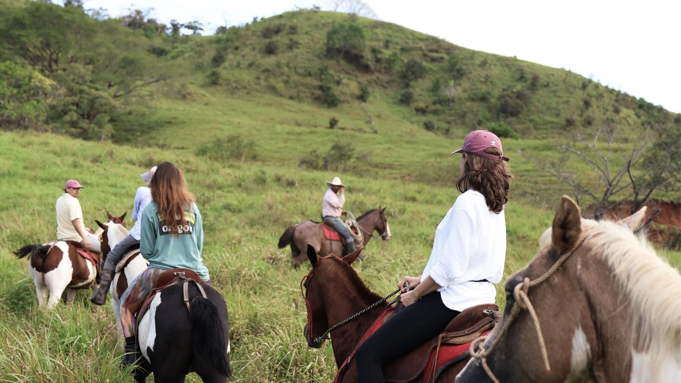  Guía estacional de Guanacaste