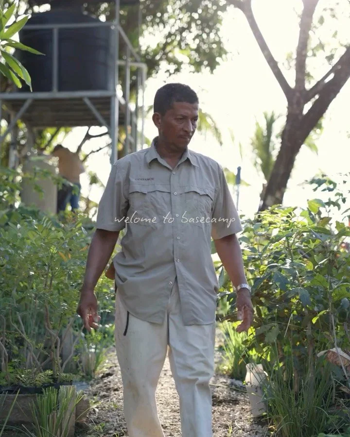 (ESPA&Ntilde;OL ABAJO) Basecamp is part of the broader Tierramor landscape, located at the base of the mountain just below our main center. While the main site serves as the heart of gatherings, Basecamp functions as a complementary space - focused o