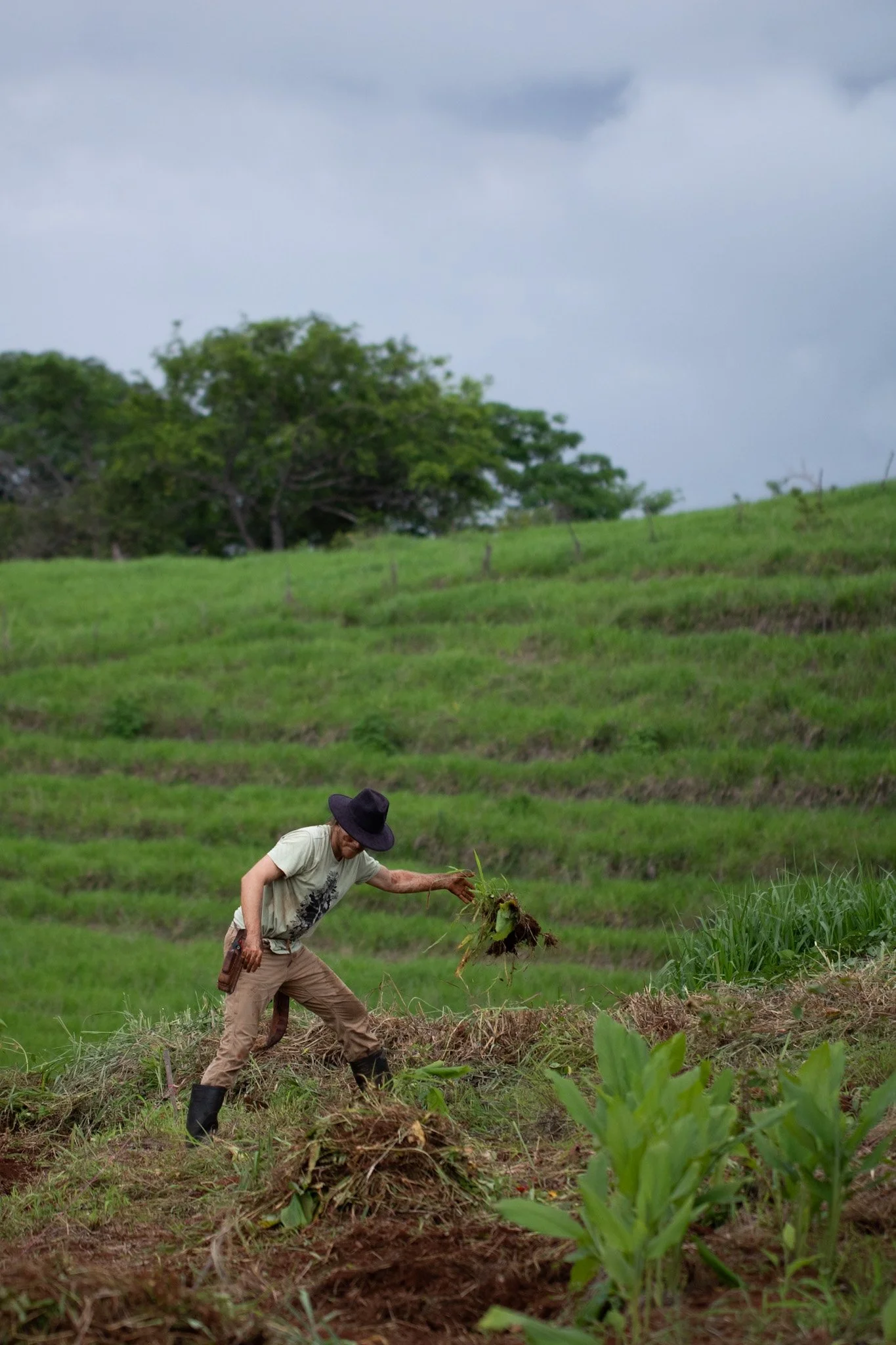 Farm_2024 Agrosyntropic Course 27.jpg
