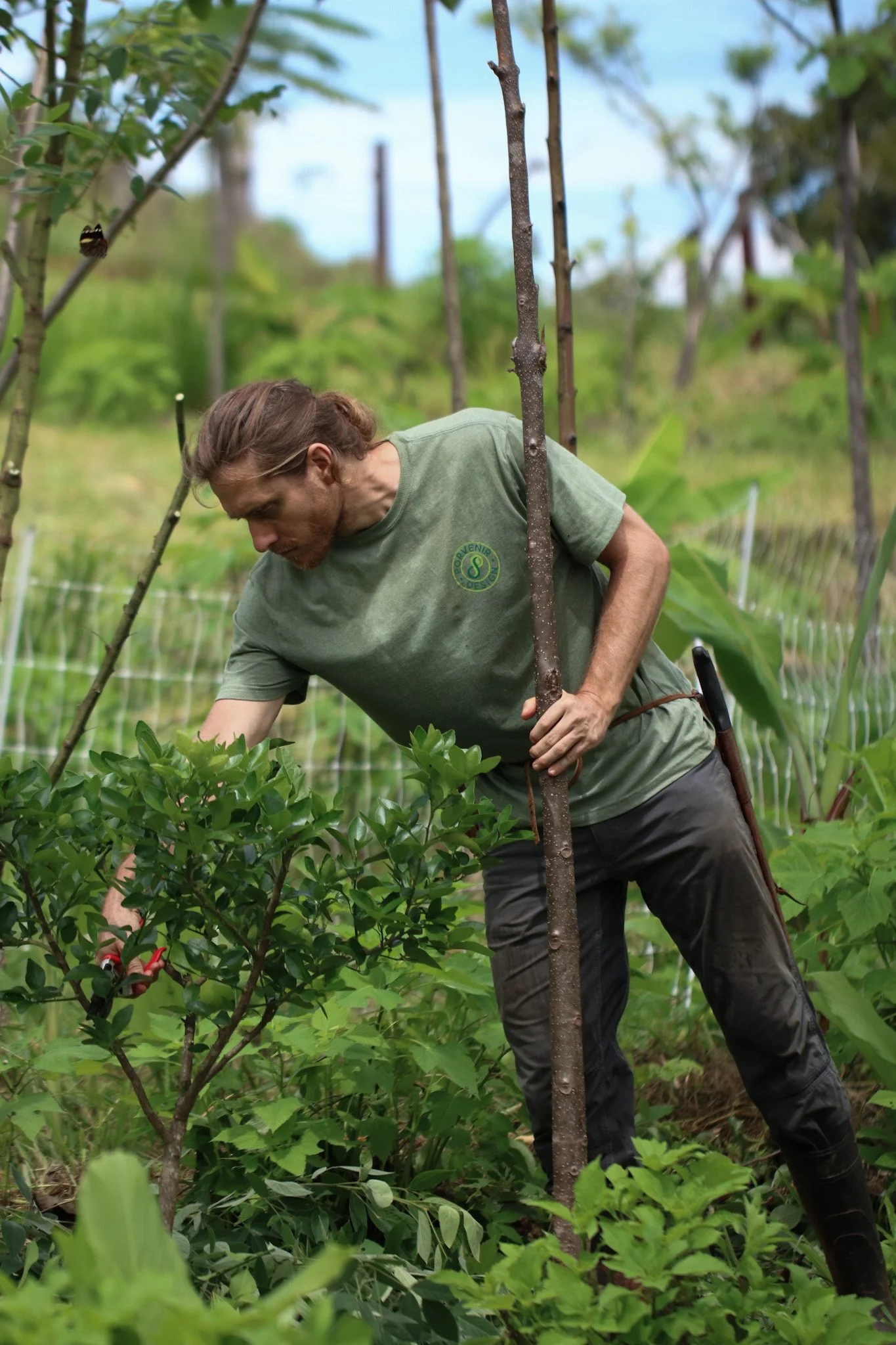 Farm_2024 Agrosyntropic Course 5.JPG