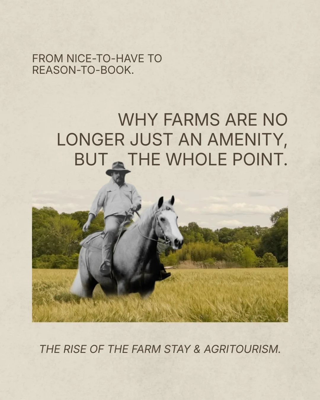 (ESPA&Ntilde;OL ABAJO) Farm stays and agritourism are having a moment, and the numbers back it up.

The global agritourism market is projected to grow significantly over the next decade, driven by demand for experiences that feel real: fresh food, op