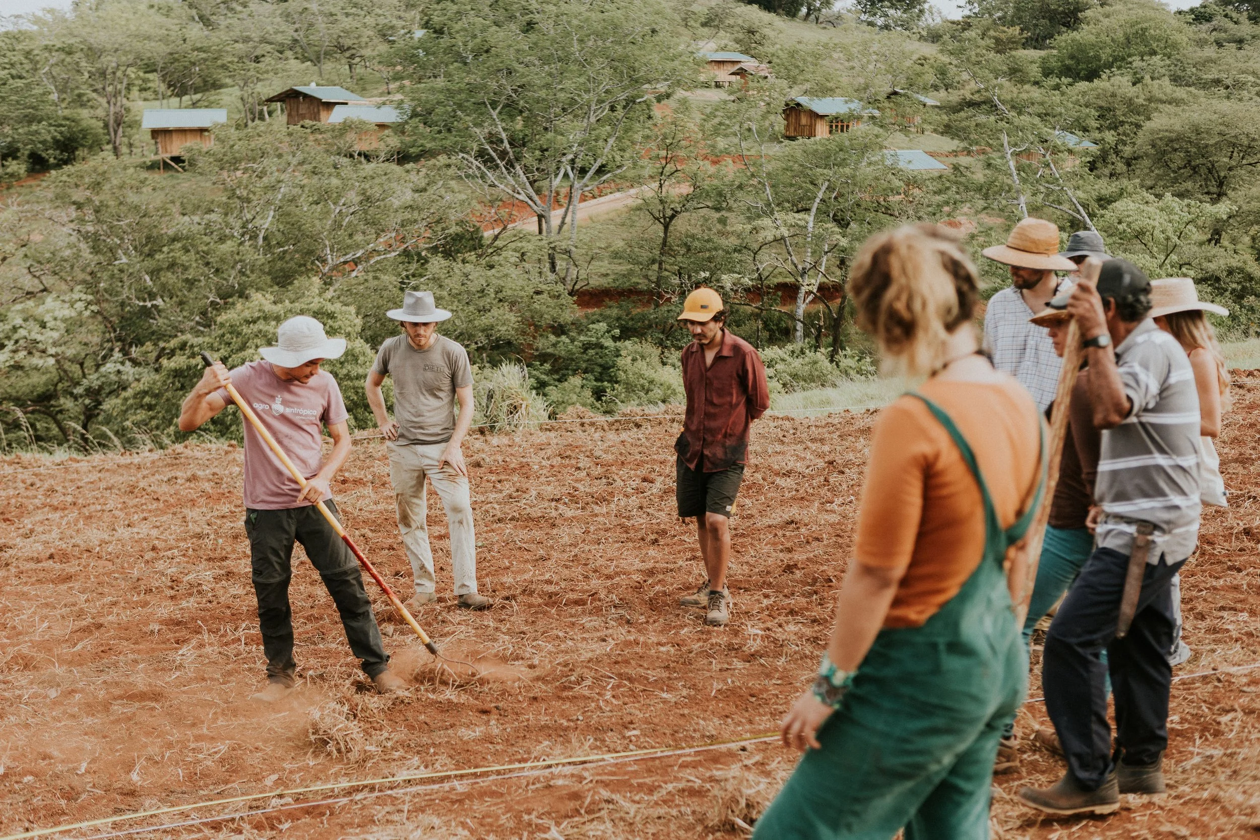 Group of men in a farm