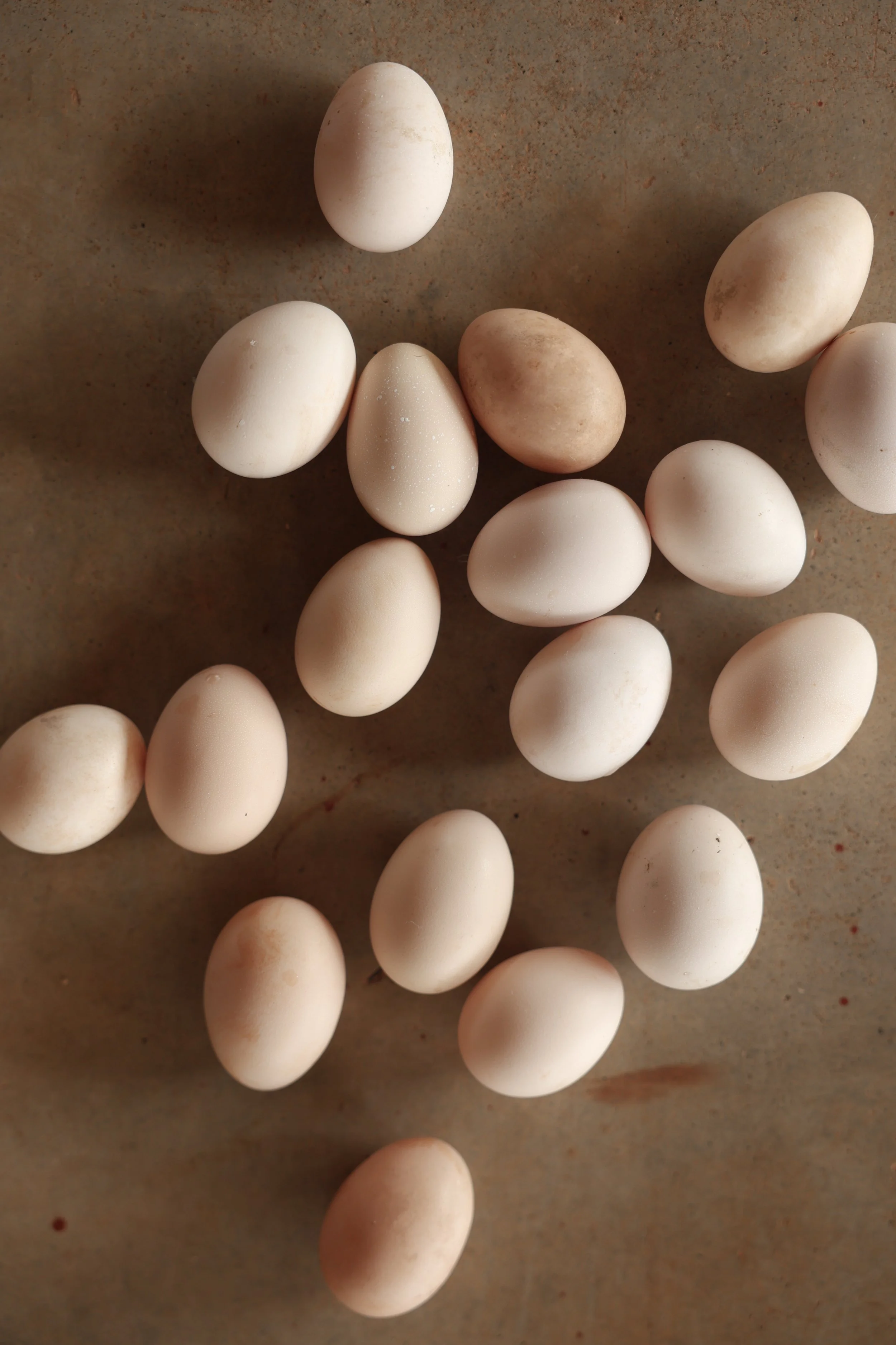 Freshly collected brown eggs from the farm