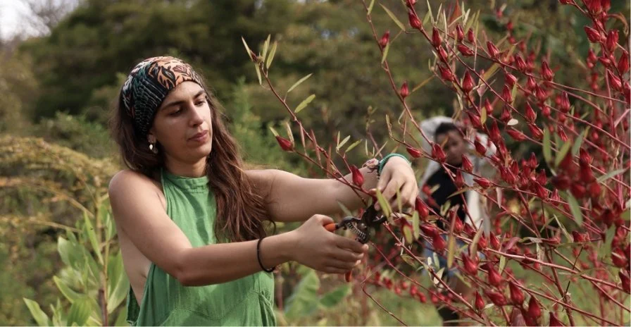 Tierramor-Costa-Rica-Retreat-Center-Regenerative-Research-Living-Volunteer-Regenerative-Farming-Gardening.jpg