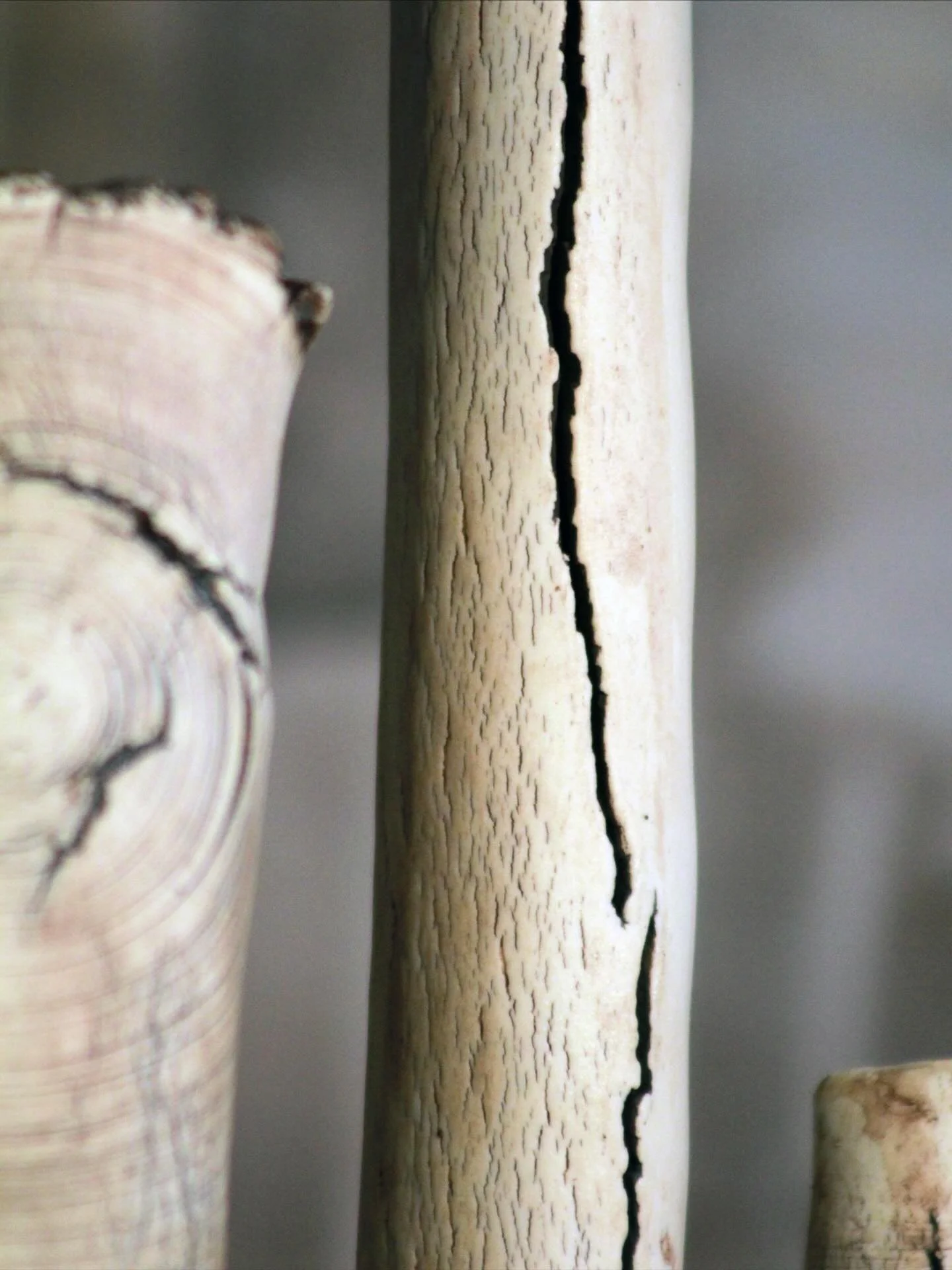 | tree bark |

#porcelain #stoneware #handmade #ceramics #sculpture #homedesign #painting #fineart #artstudio