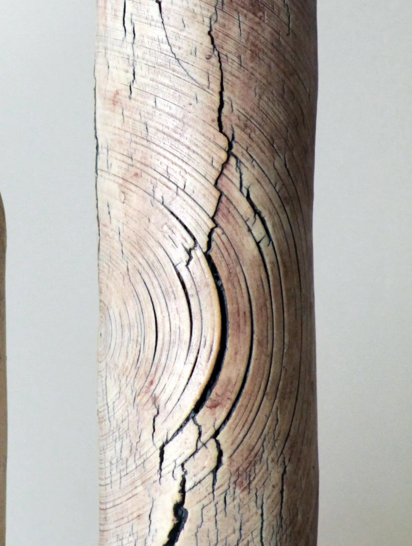 To hold a tree today 

#ceramics #ceramicart #porcelain #artstudio #fineart #photography #clay #earth #treebark