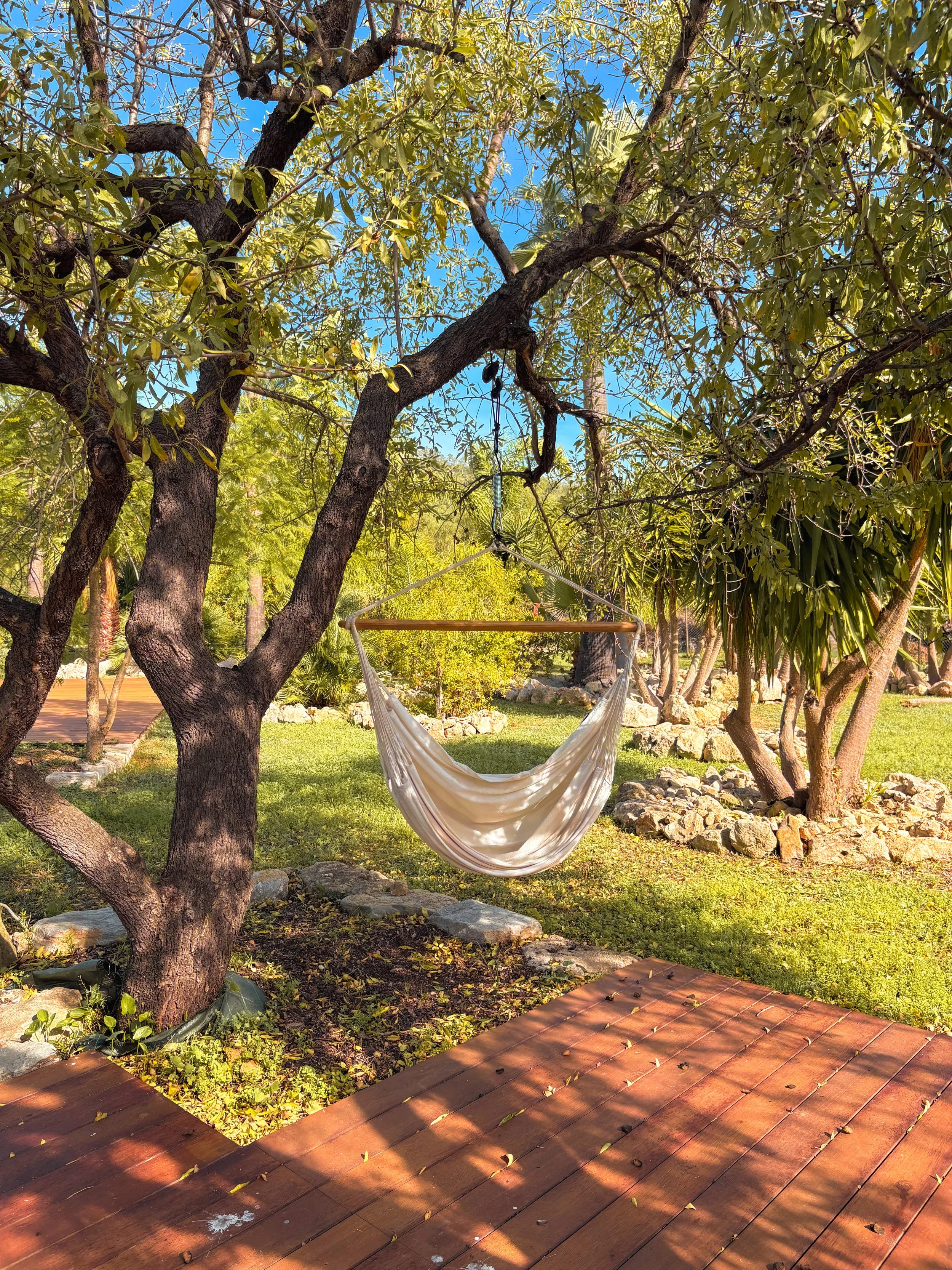 A hammock hanging from a tree in a sunny backyard garden with green grass, trees, bushes, rocks, and a wooden deck.