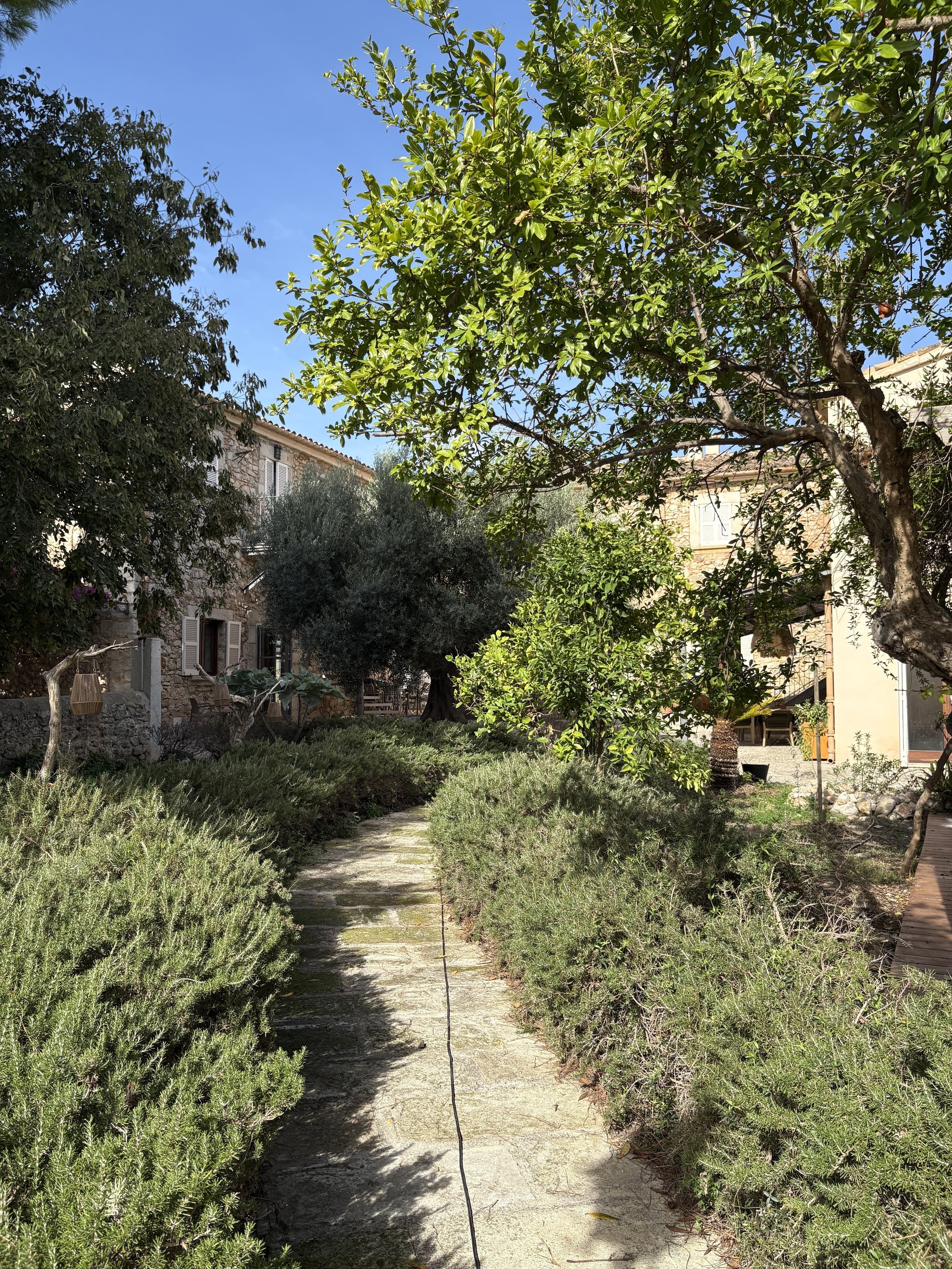 Pathway from Parking to House