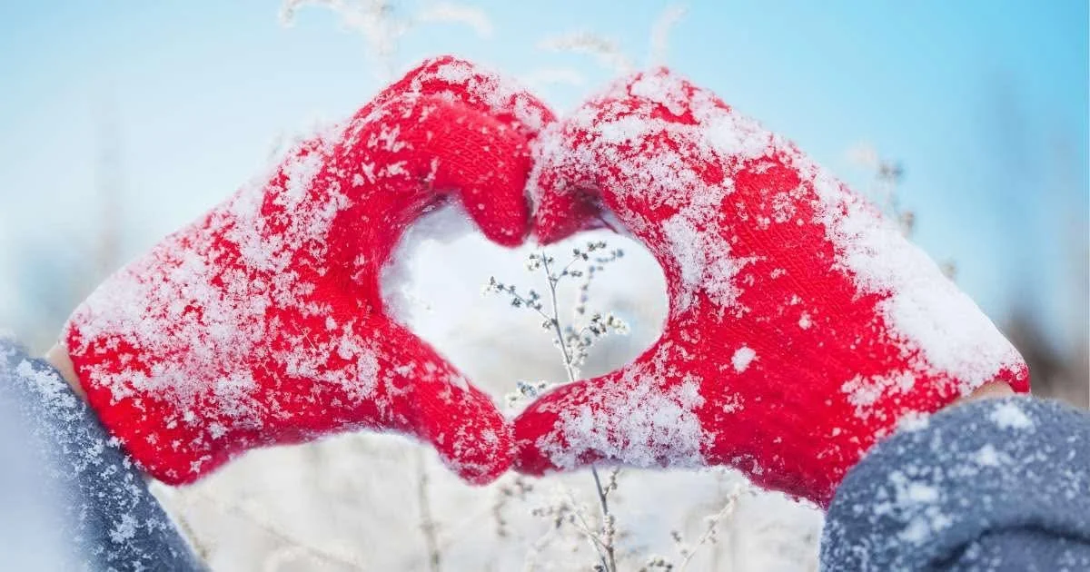 Two people wearing red gloves and winter clothing form a heart shape with their hands around a small snow-covered plant in a snowy landscape.