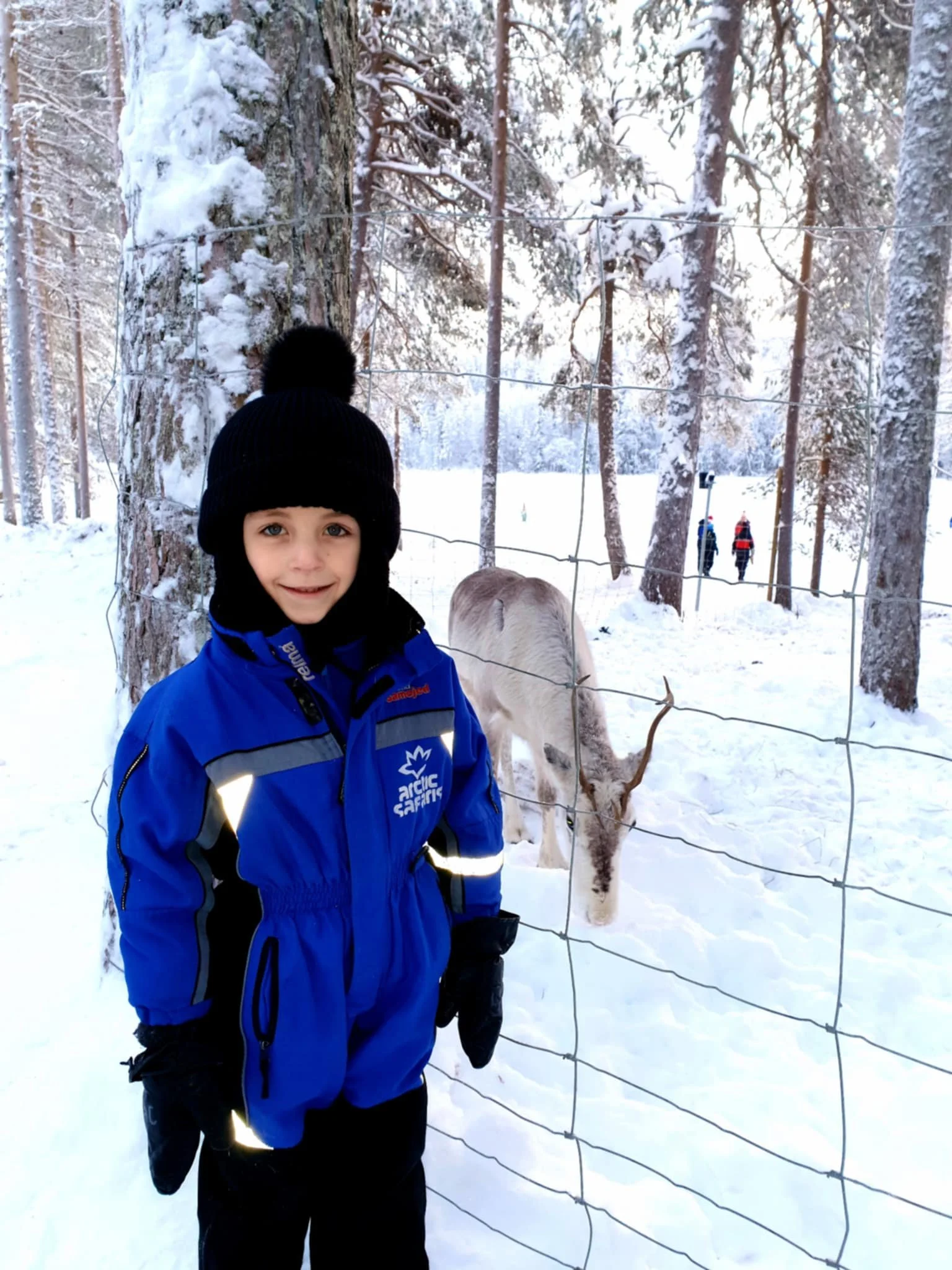 A young boy in a blue Arctic safari jacket and black knit hat outdoors in a snow-covered forest, standing next to a reindeer behind a wire fence, with other people visible in the background.