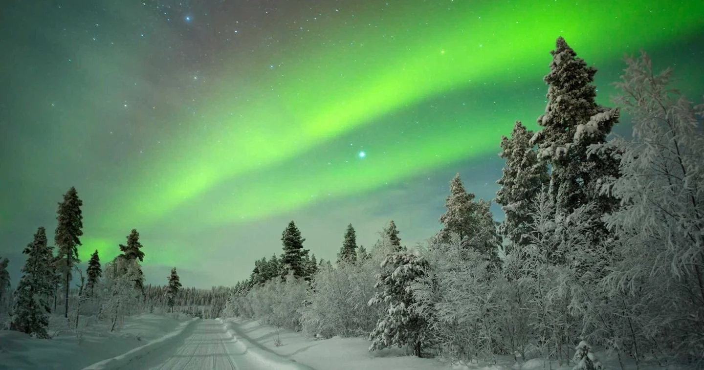 Northern lights over a snowy forest landscape at night.