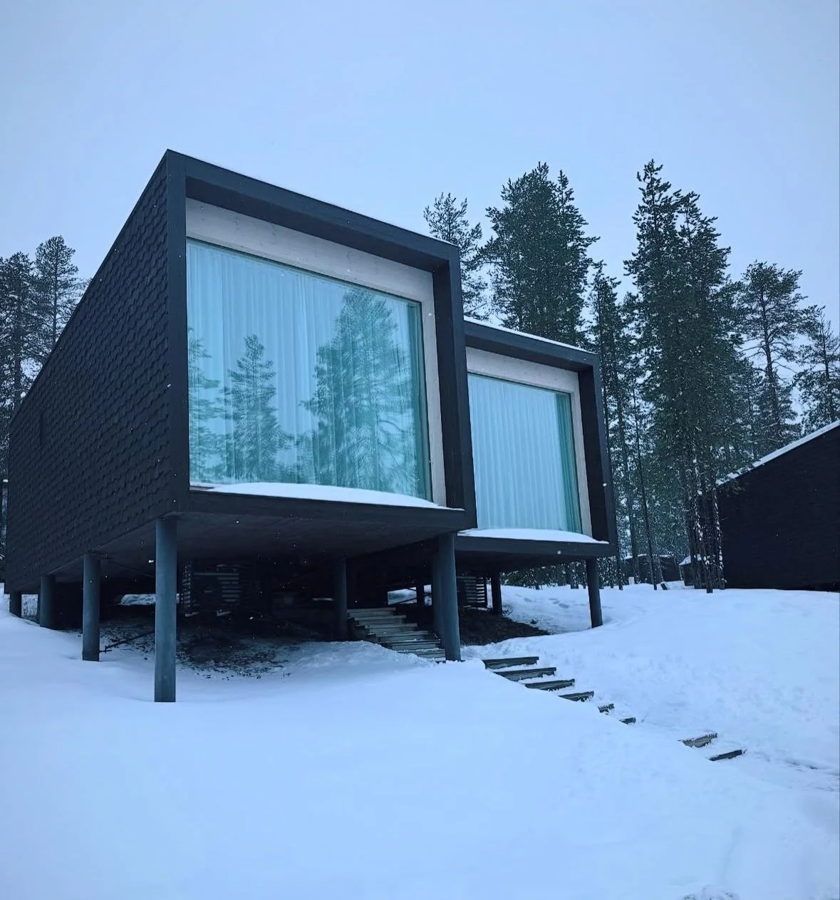 Modern black house with large glass windows on snowy ground, surrounded by tall pine trees.
