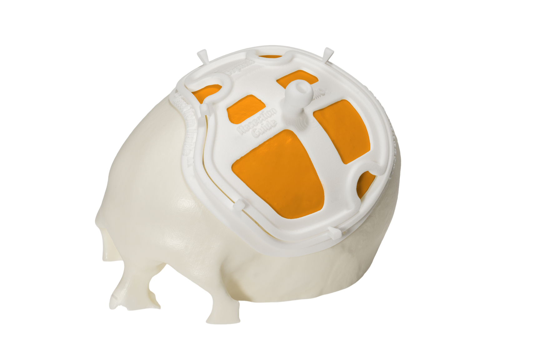 Current Concepts in Cranioplasty - Spring 2027