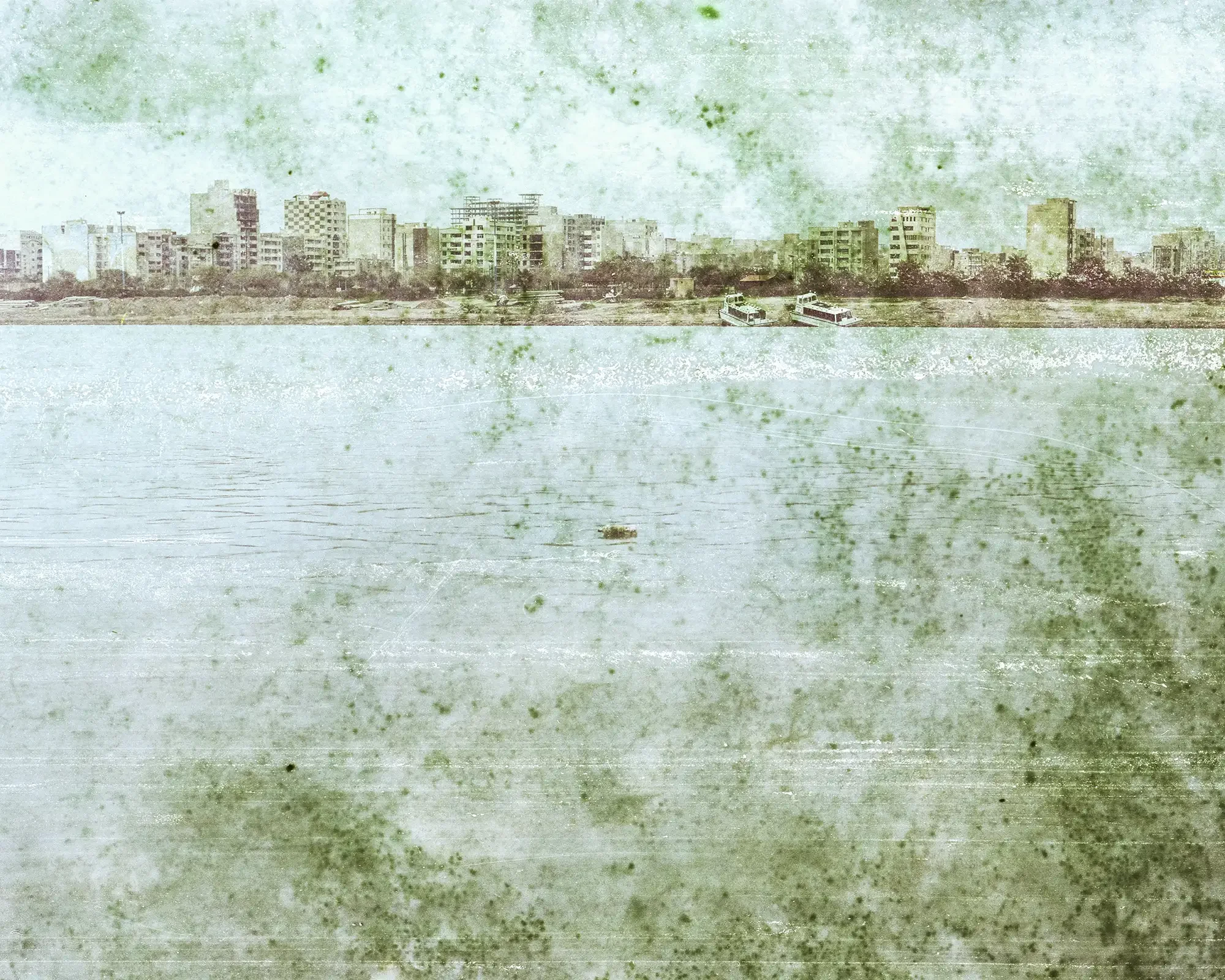 Image © Morteza Soorani. Inquire for licensing003.webp