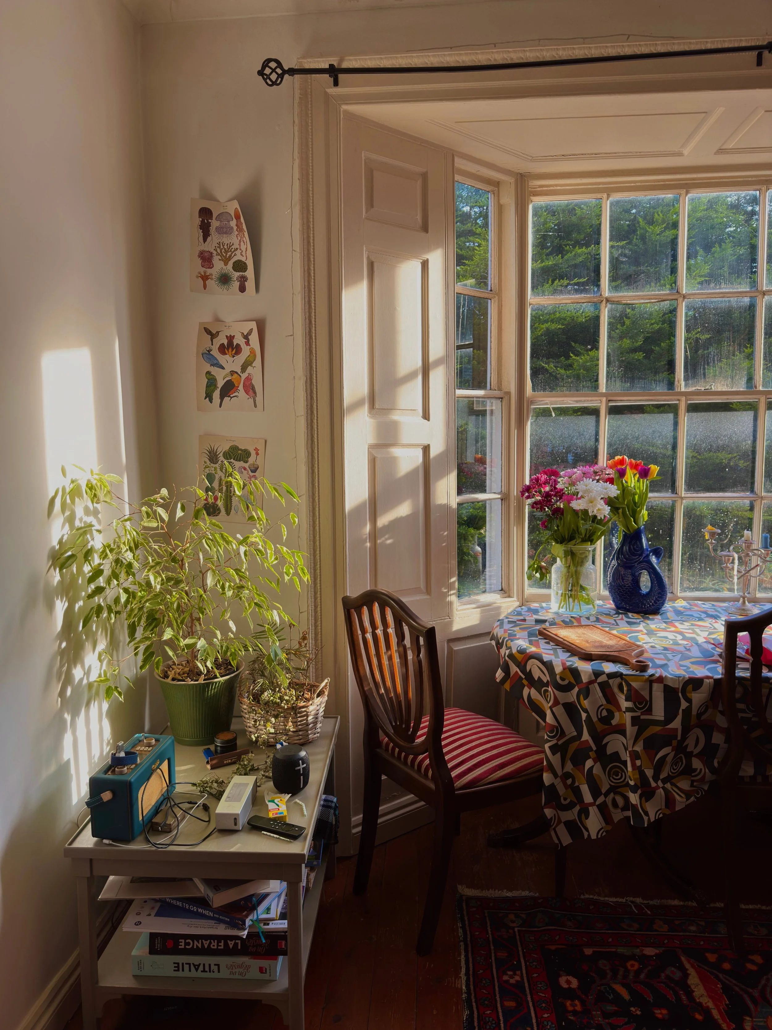 A relaxed dining room, filled with pretty flowers in vases, nature pictures on the wall and a blue radio. The sash window has large white shutters overlooking beautiful green space.