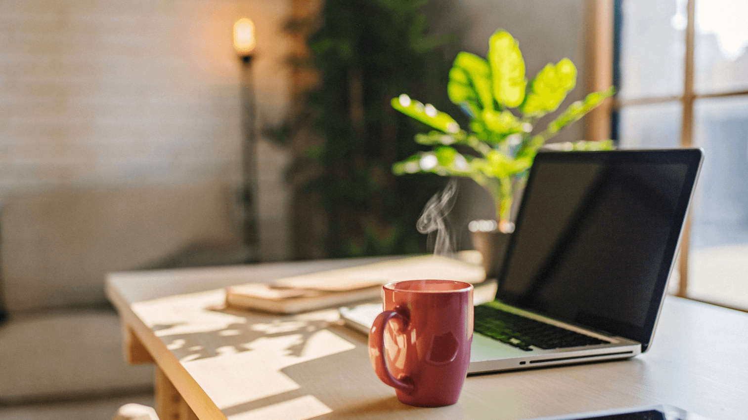 A spacious office environment showing a laptop and coffee alongside a desk top plant