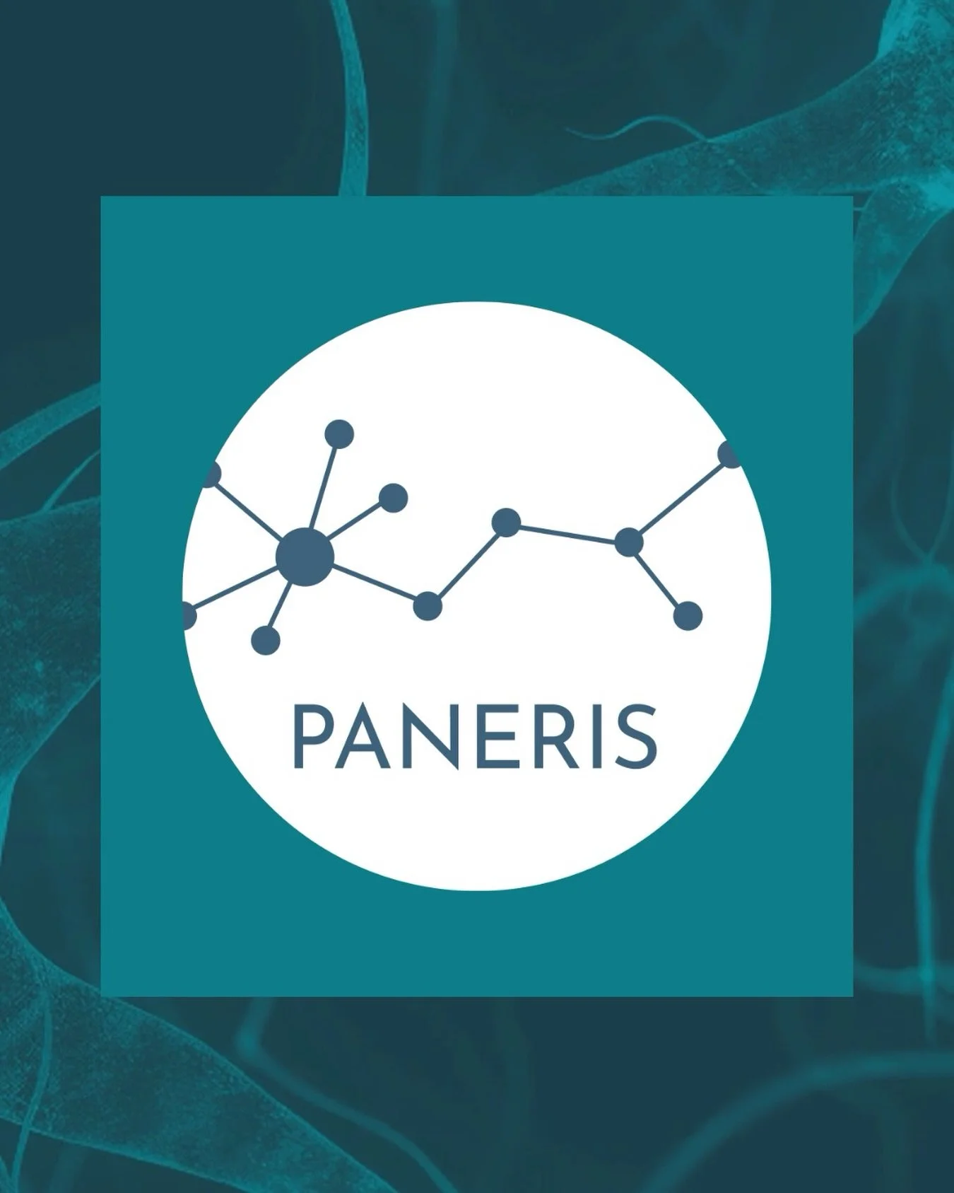 As the #PANERIS project comes to an end, we are proud to share this video highlighting the voices of some of the students who took part in the project.

Their testimonies reflect one of PANERIS&rsquo; most valuable achievements: creating opportunitie