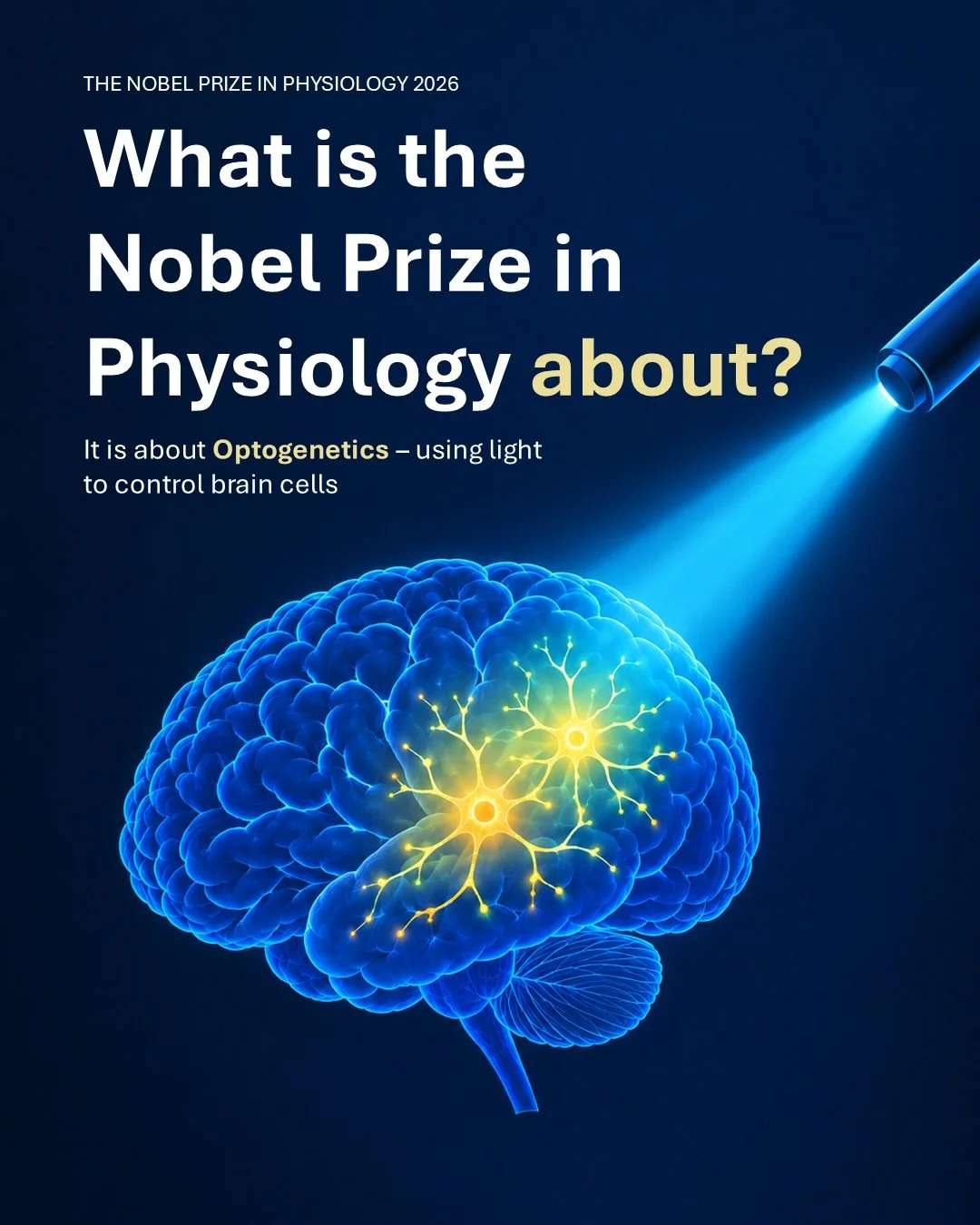 🧠💡 The 2026 Nobel Prize in Physiology or Medicine is all about LIGHT.

This year, the Nobel Assembly at Karolinska Institutet has awarded the prize jointly to Karl Deisseroth, Peter Hegemann and Georg Nagel &ldquo;for their discoveries concerning l
