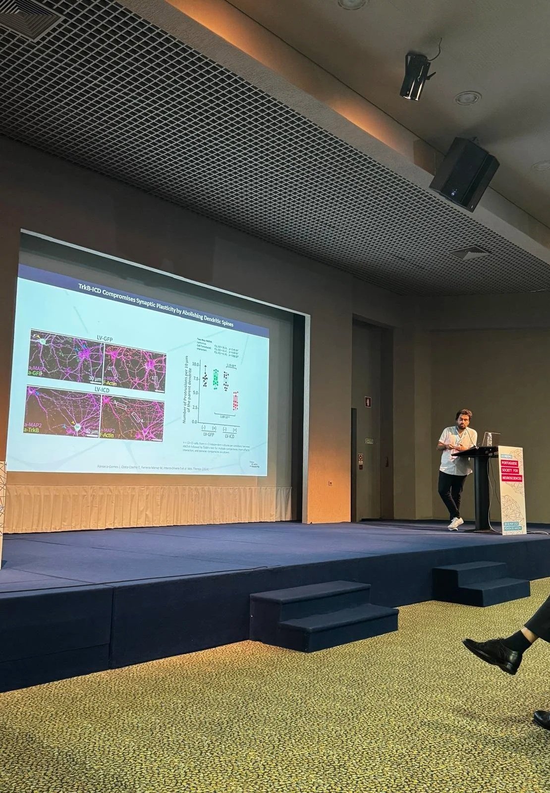 WhatsApp Image 2025-10-12 at 23.08.09_ebaadefb.jpg