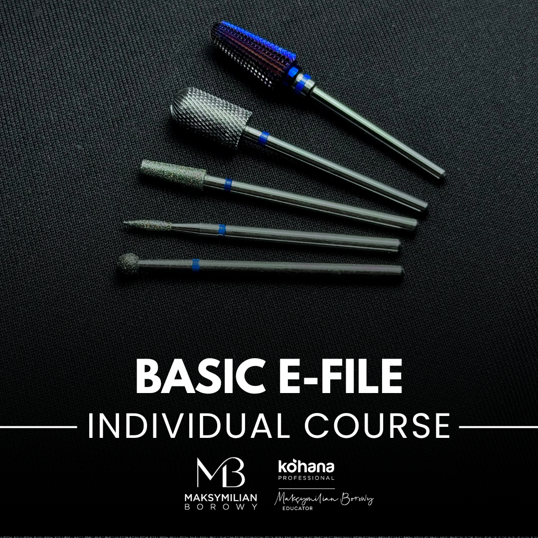 Basic E-File 1:1 Individual Course