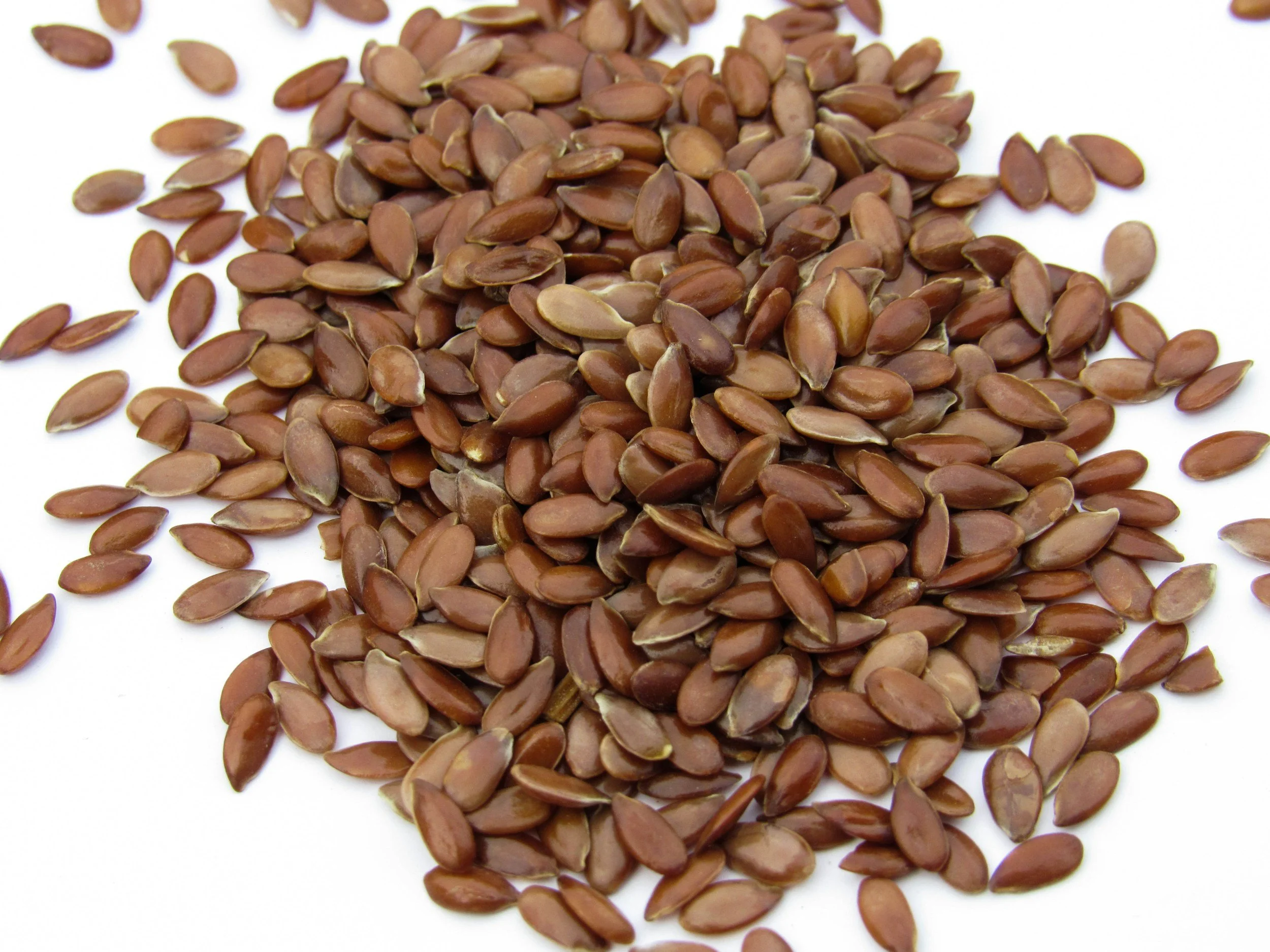 Flaxseeds: The Tiny Seeds I Add to Everything (And Why You Should Too)