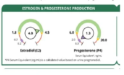 Why Perimenopause Isn't Just About Low Oestrogen (And What My Own Hormone Test Revealed)