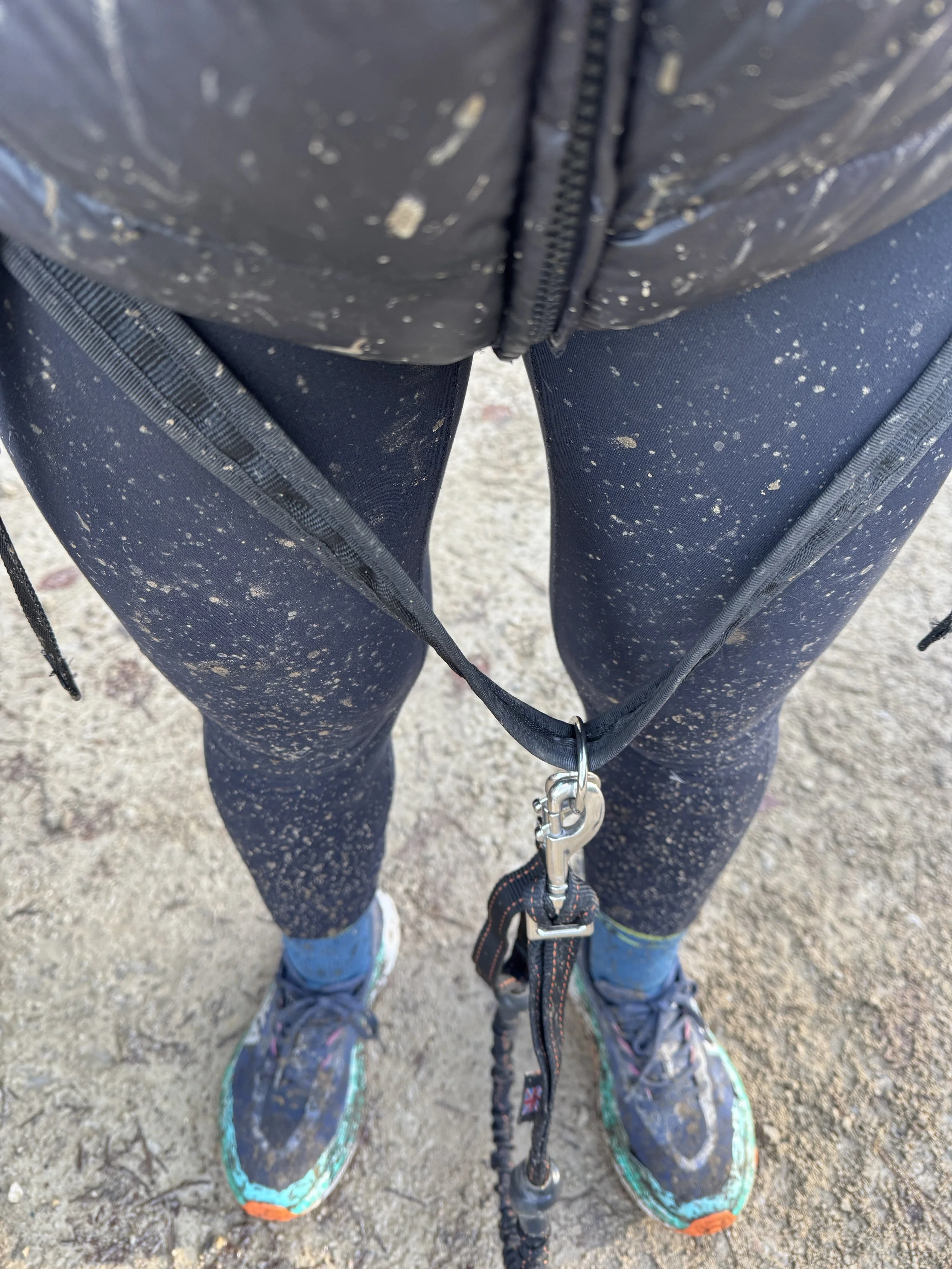 muddy legs after a canicross run, woman in leggins and trainers splattered in mud