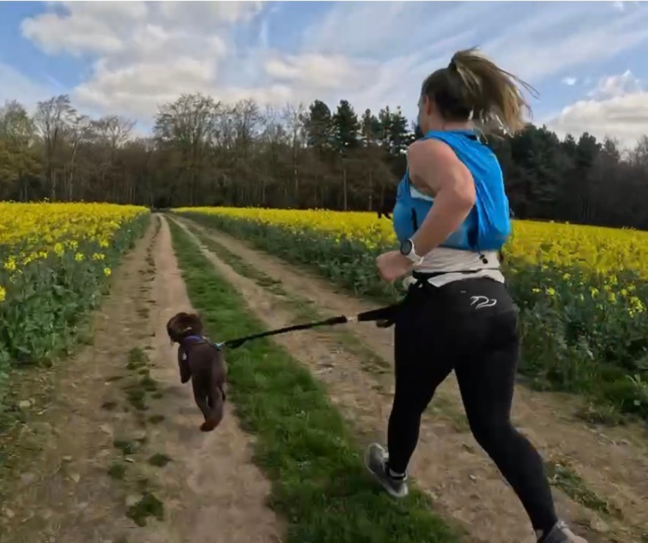 Women and dog running through yellow and green field