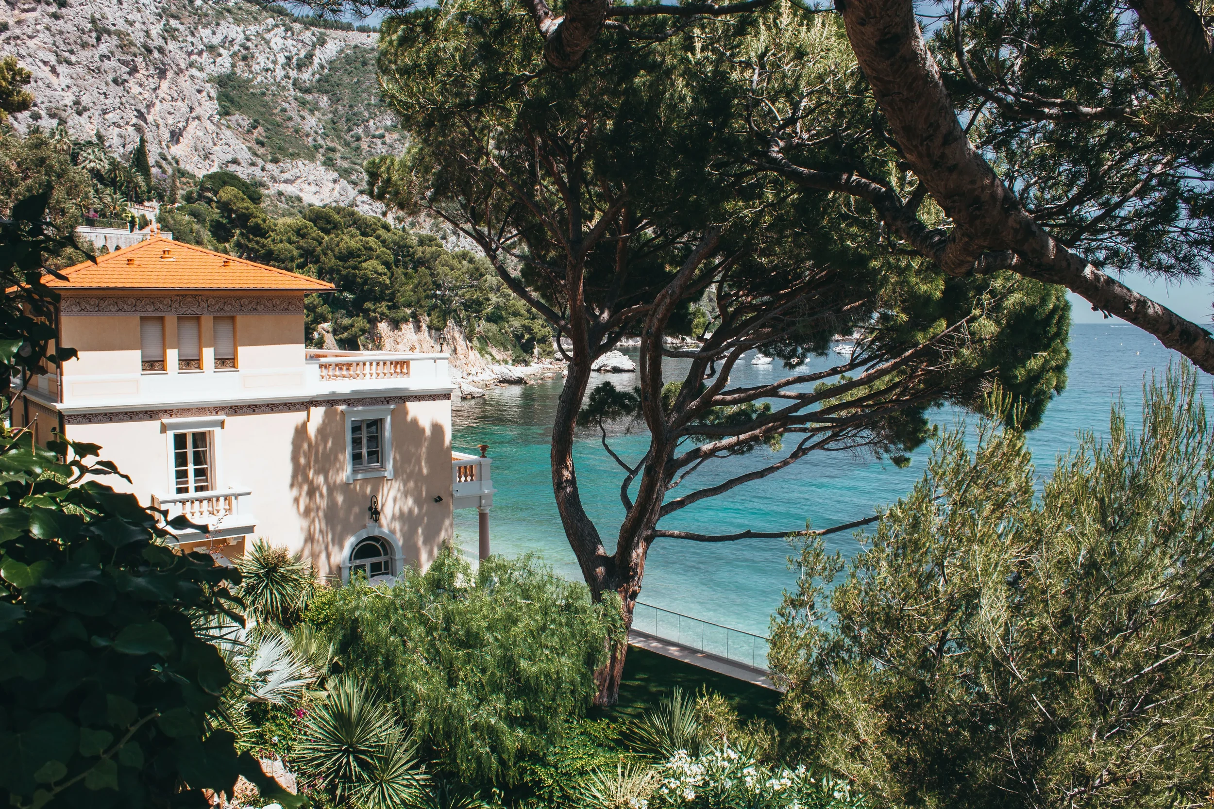 What Happens to a House When Nobody Lives There for Six Months?