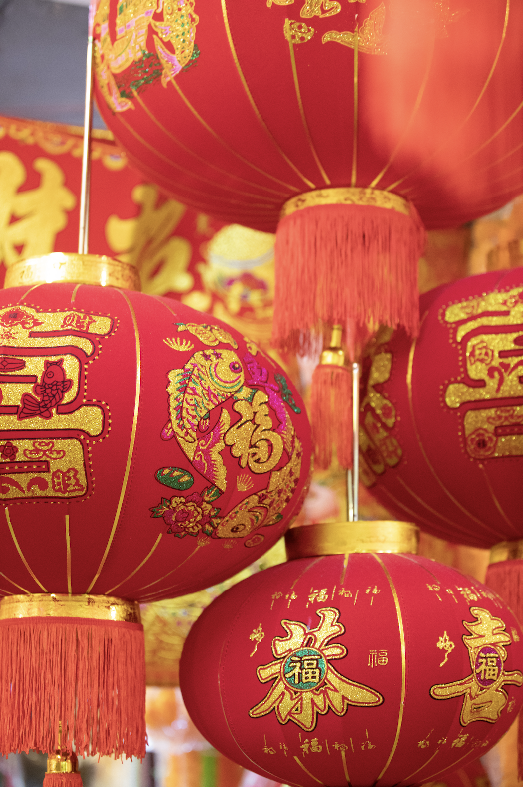 Screenshot 2025-09-30 at 11.10.33 pm.png