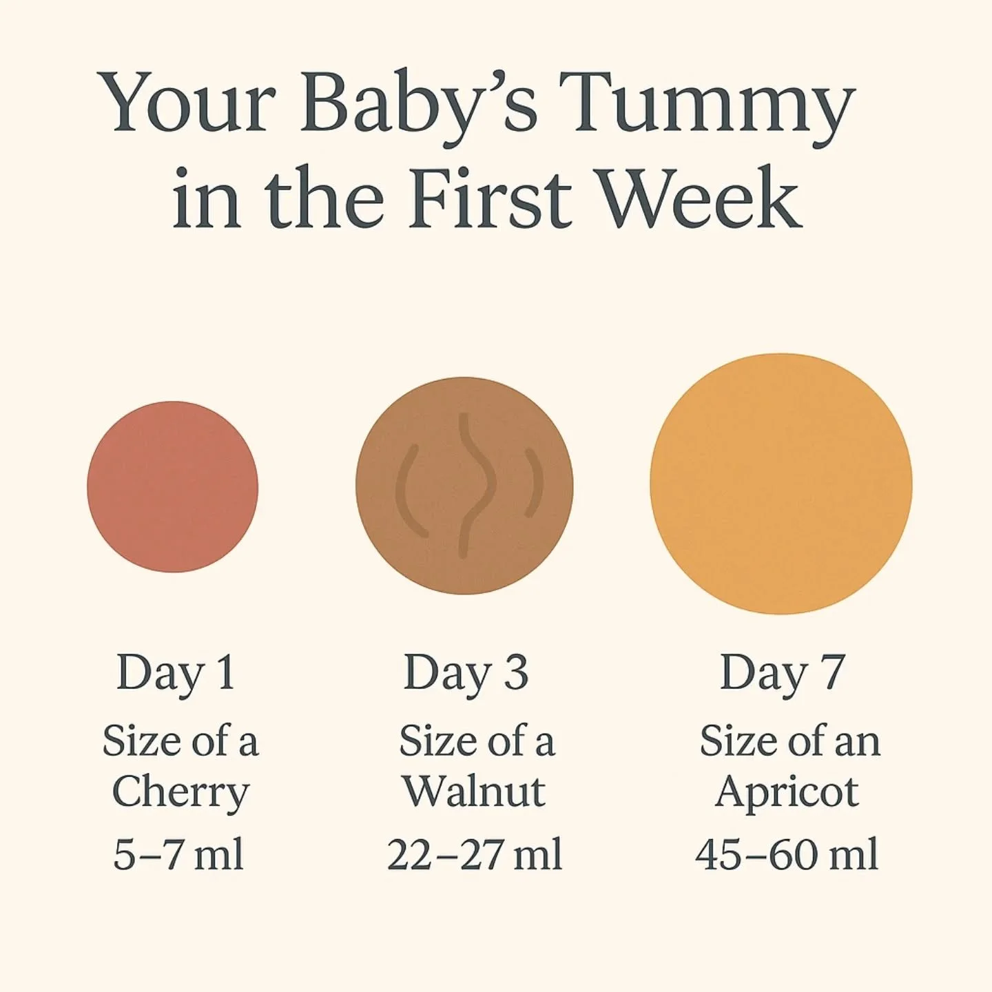 💛 Your Baby&rsquo;s Tummy in the First Week 💛

It&rsquo;s amazing how tiny a newborn&rsquo;s tummy really is!

⭐ On day 1, it&rsquo;s about the size of a cherry &mdash; holding just 5&ndash;7ml.
⭐ By day 3, it&rsquo;s around a walnut &mdash; 22&nda