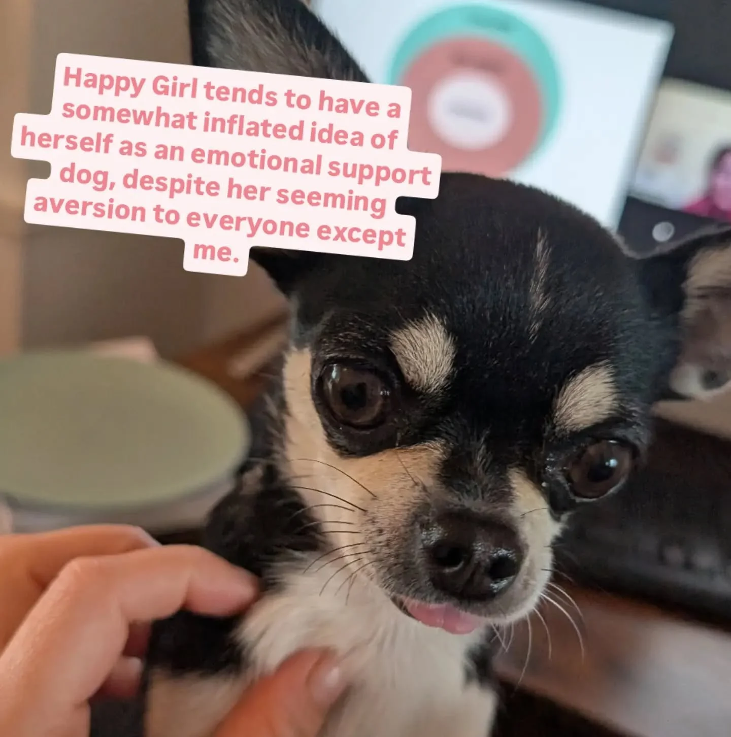 I&rsquo;m attending the Make Birth Better Birth Trauma Training Programme &mdash; deepening my understanding of how trauma can affect both families and those who care for them.
This work matters because birth experiences stay with us all &mdash; pare