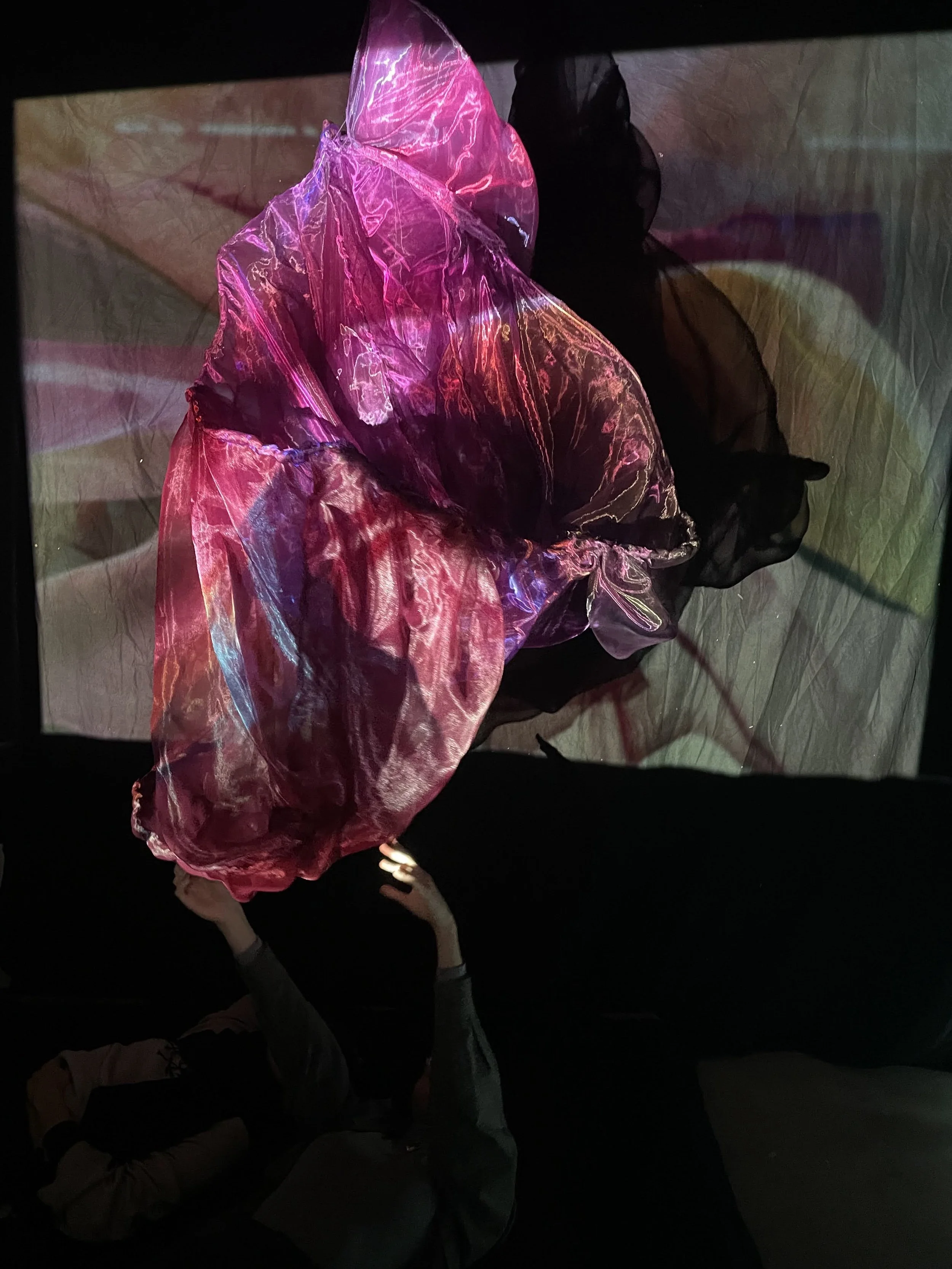 "where I come from", 1,5 x 1m, Textilinstallation aus Organzastoffen und Draht, 2023