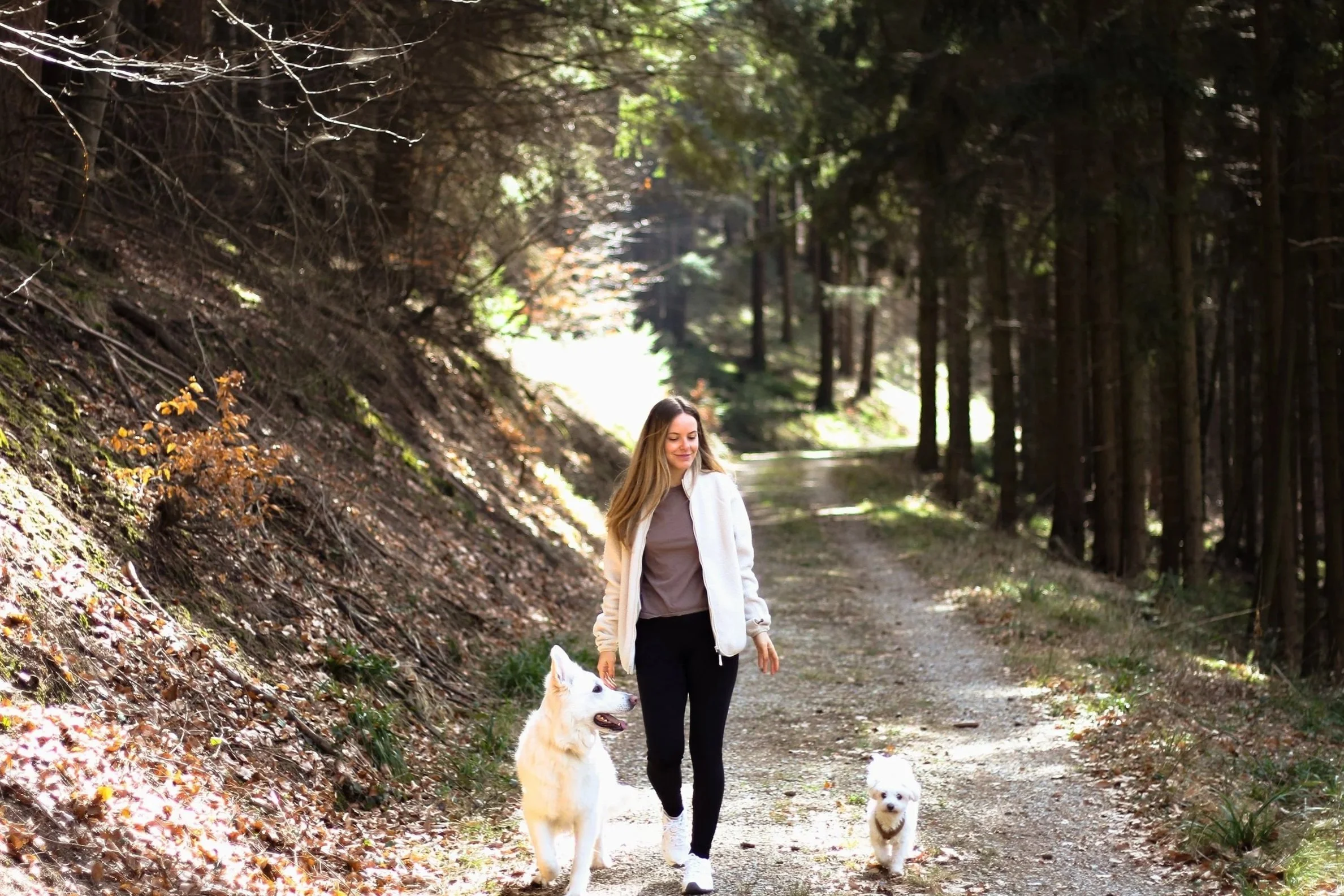 Hundetrainerin Silvia Helbig mit ihren beiden Hunden Saphira, Schweizer Schäferhund und Balu, Havaneser, im Wald
