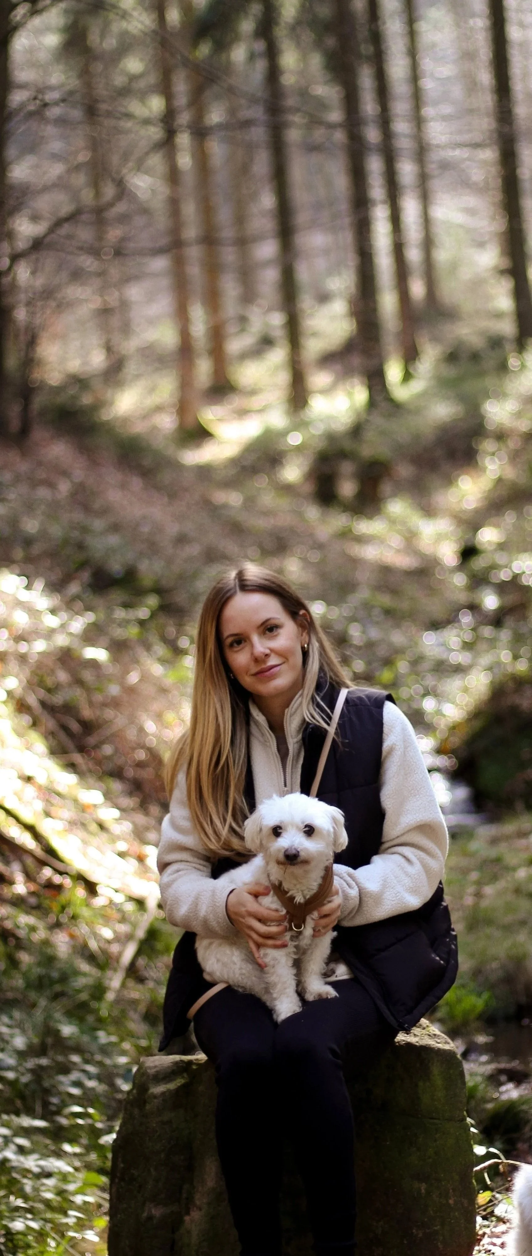 Eine junge Frau sitzt auf einem Baumstamm im Wald und hält einen kleinen weißen Hund in den Händen.